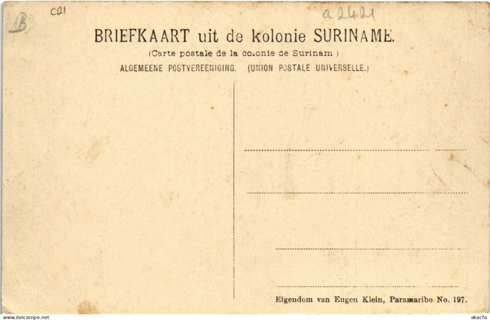 PC SURINAME - OP DE REEDE VAN PARAMARIBO (a2421) - Surinam