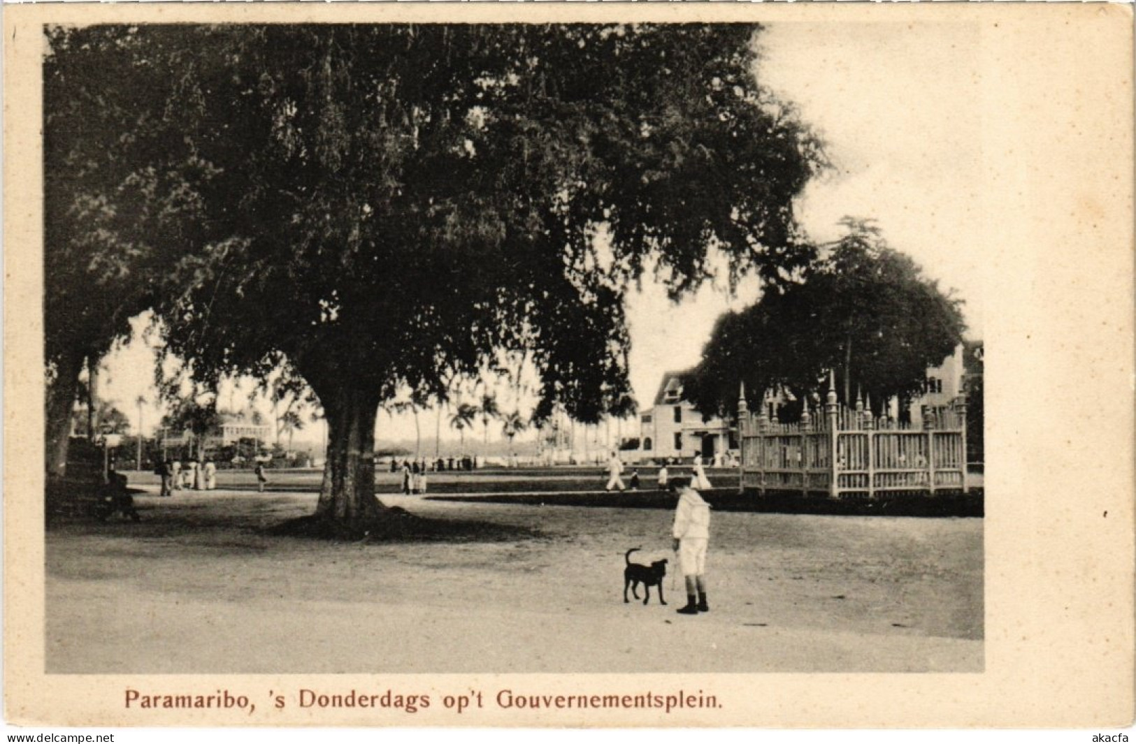 PC SURINAME PARAMARIBO - S DONDERDAGS OP'T GOUVERNEMENTSPLEIN (a2414) - Suriname