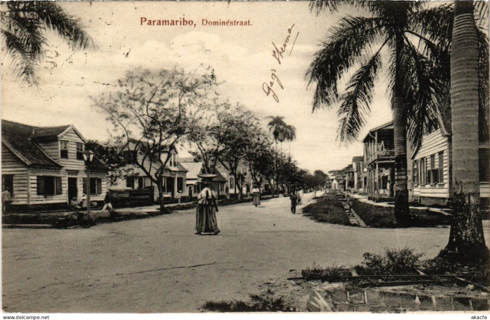 PC SURINAME PARAMARIBO - DOMINÉSTRAAT (a2416) - Suriname