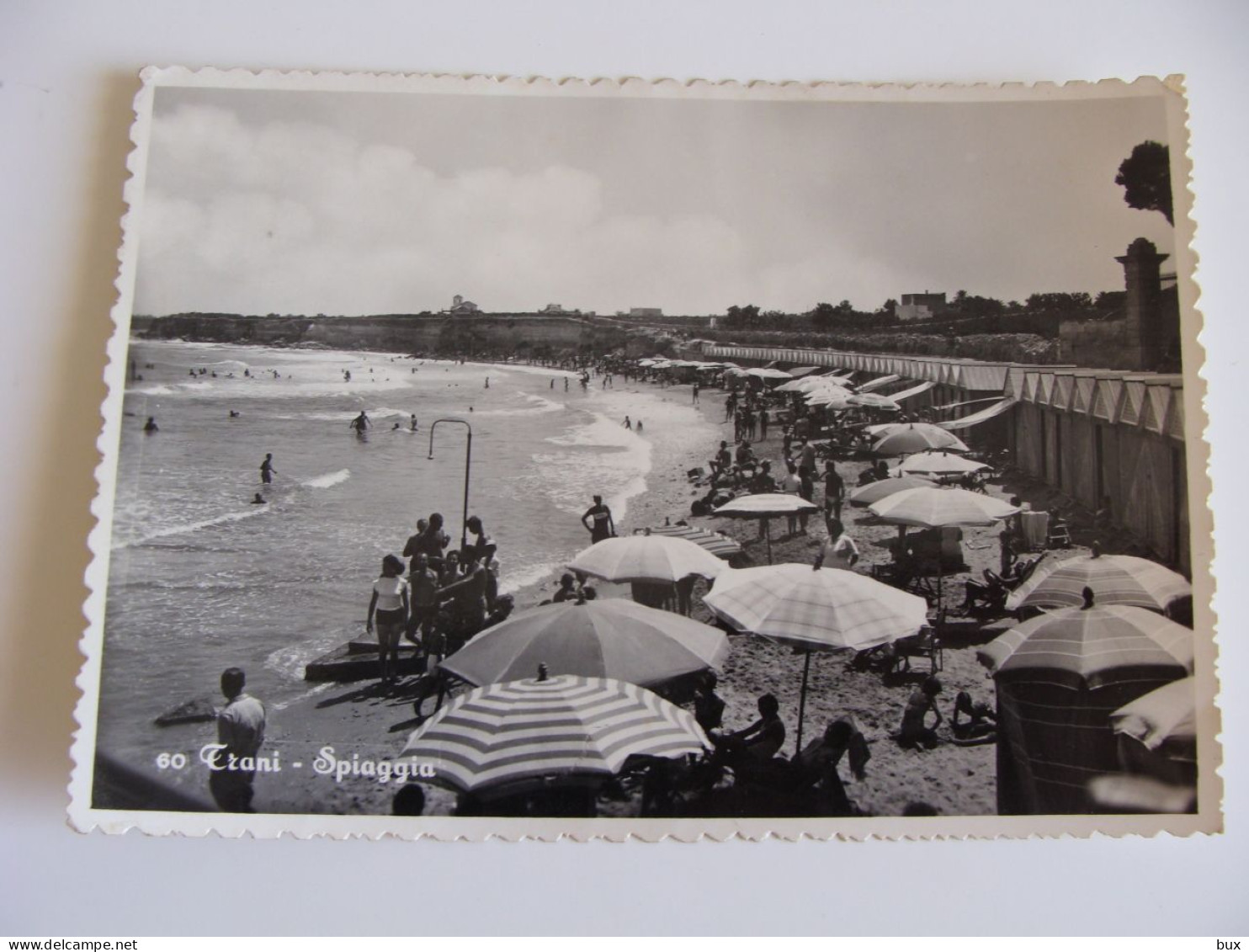 TRANI   PUGLIA   VIAGGIATA  COME DA FOTO  IMM.LUCIDA FOTOGRAFICA - Trani