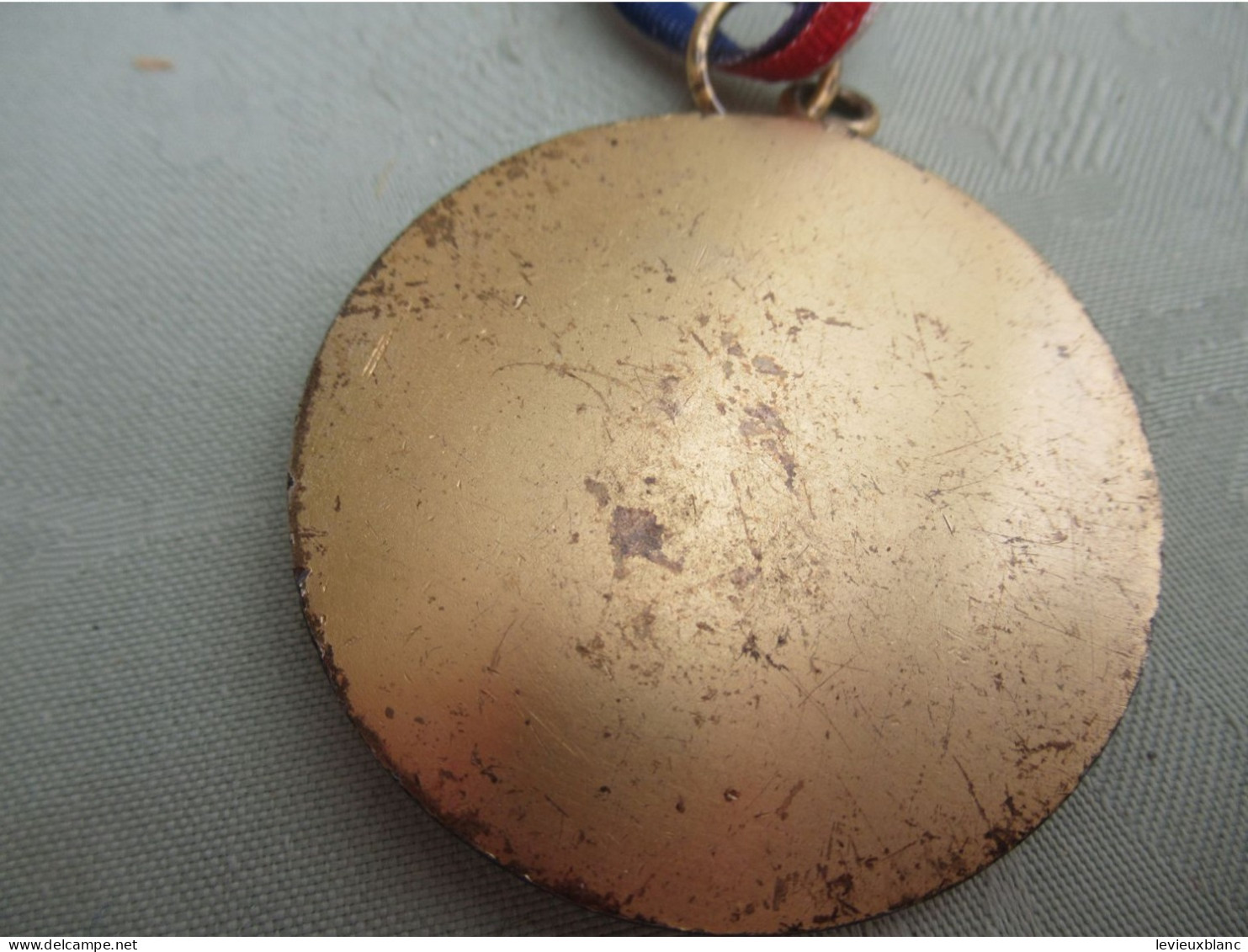 Grande Médaille De Musique/Bronze  Doré/ Accordéon Et Rameaux De Lauriers   /seconde Moitié Du  XXème  PART334 - Altri & Non Classificati