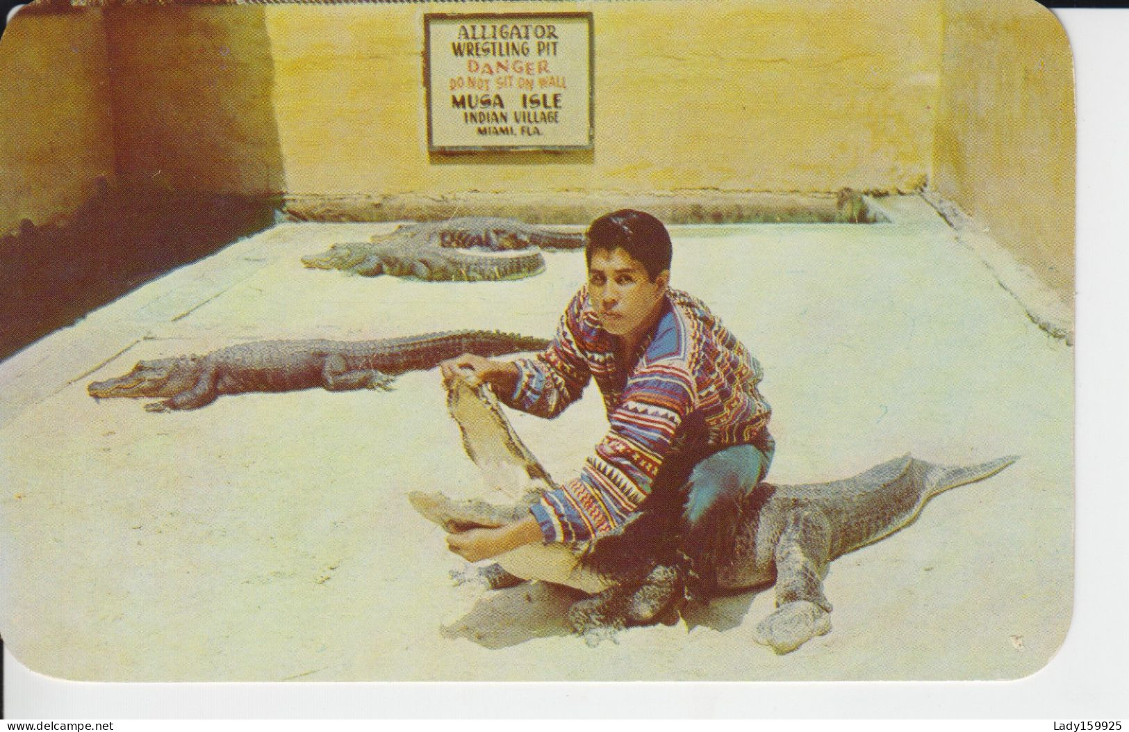 Alligator Wrestling At The  Musa Isle Seminole Indian Village Floride USA Garçon Tient Assis Sur Un Alligator - Miami