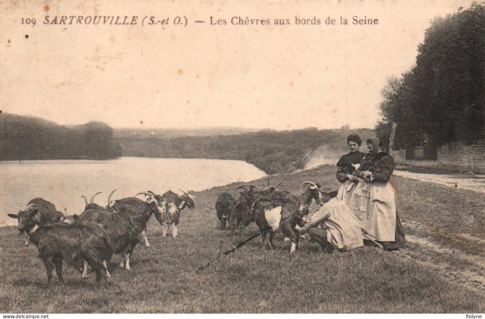 Sartrouville - Les Chèvres Aux Bords De La Seine - Chevrier Métier - Sartrouville