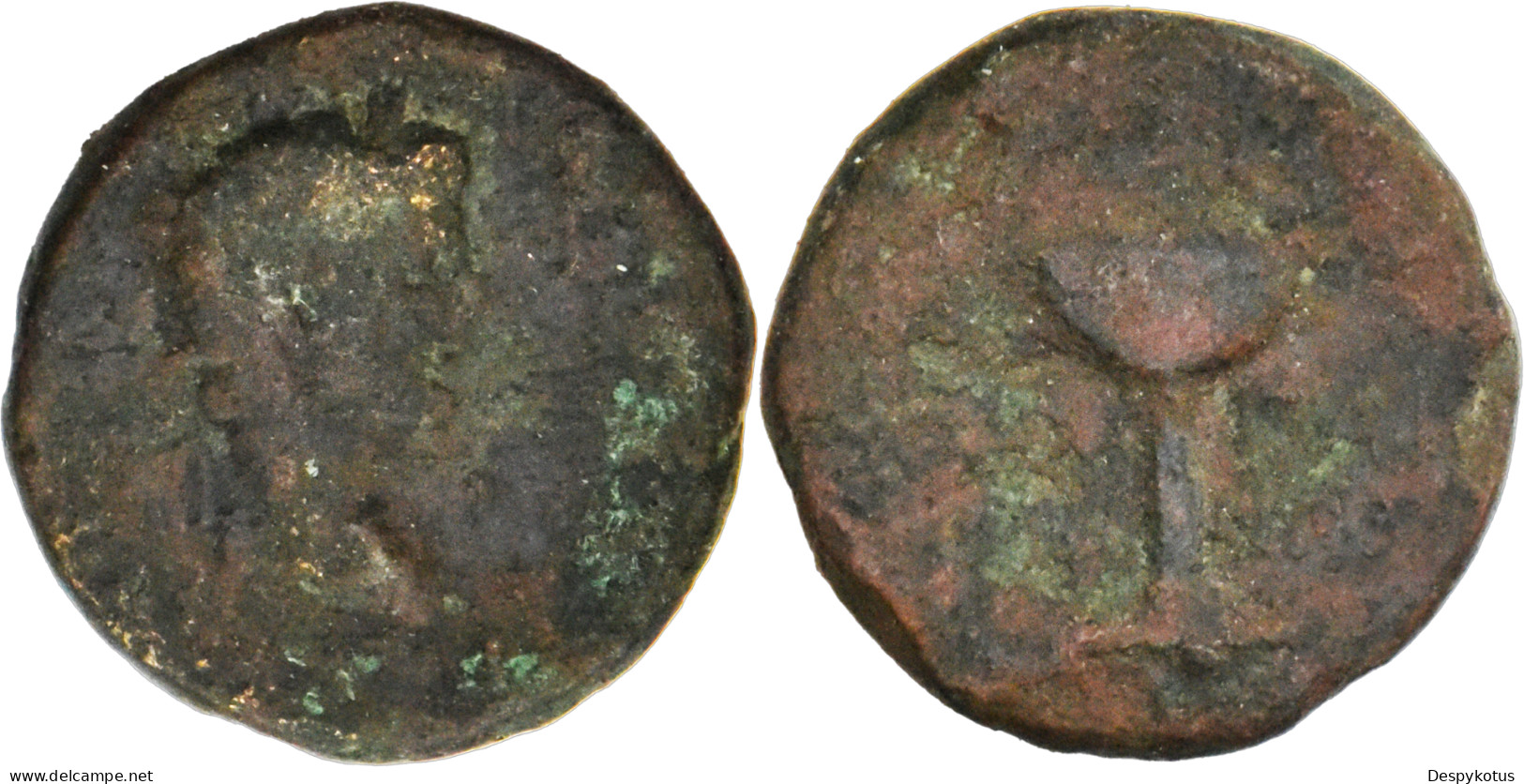 Rome - Diassaria D'Auguste Et Caius - Pergame - 1 Av. JC - Bassin - RPC.2360 - 13-103 - The Julio-Claudians (27 BC To 69 AD)