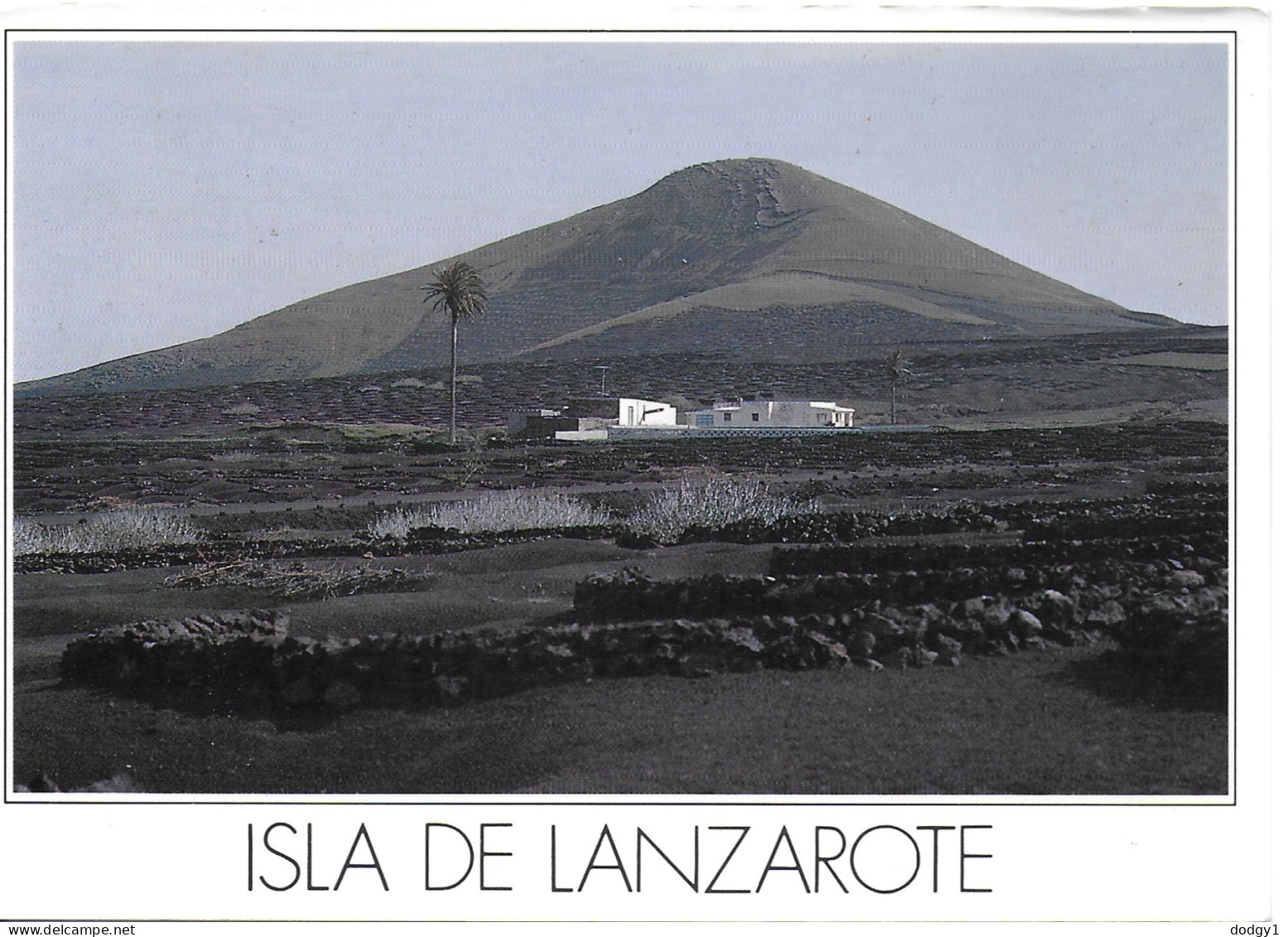 LANZAROTE, CANARY ISLANDS, SPAIN. UNUSED POSTCARD   Wp5 - Lanzarote