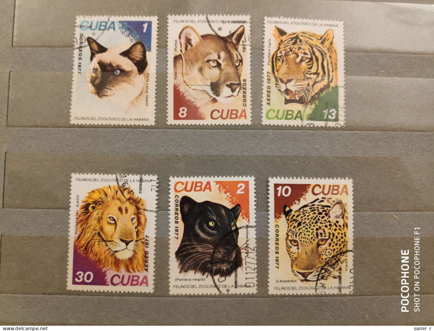 1977 Cuba Cats (F17) - Used Stamps