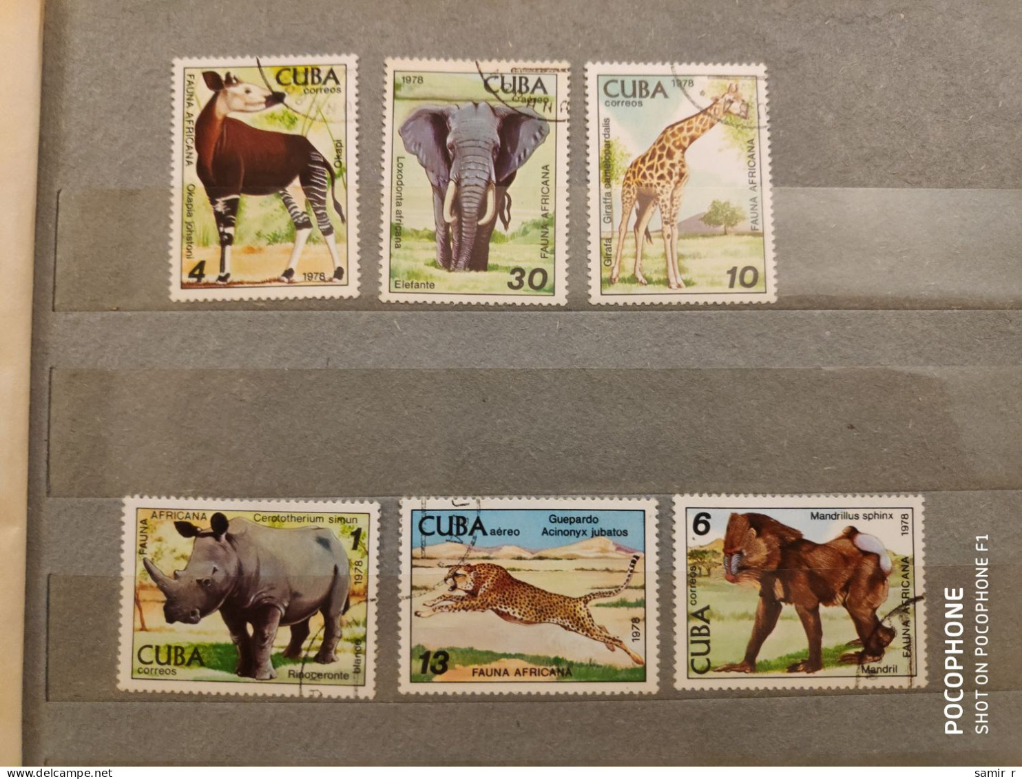 1978 Cuba	Animals Elephants  (F17) - Gebraucht