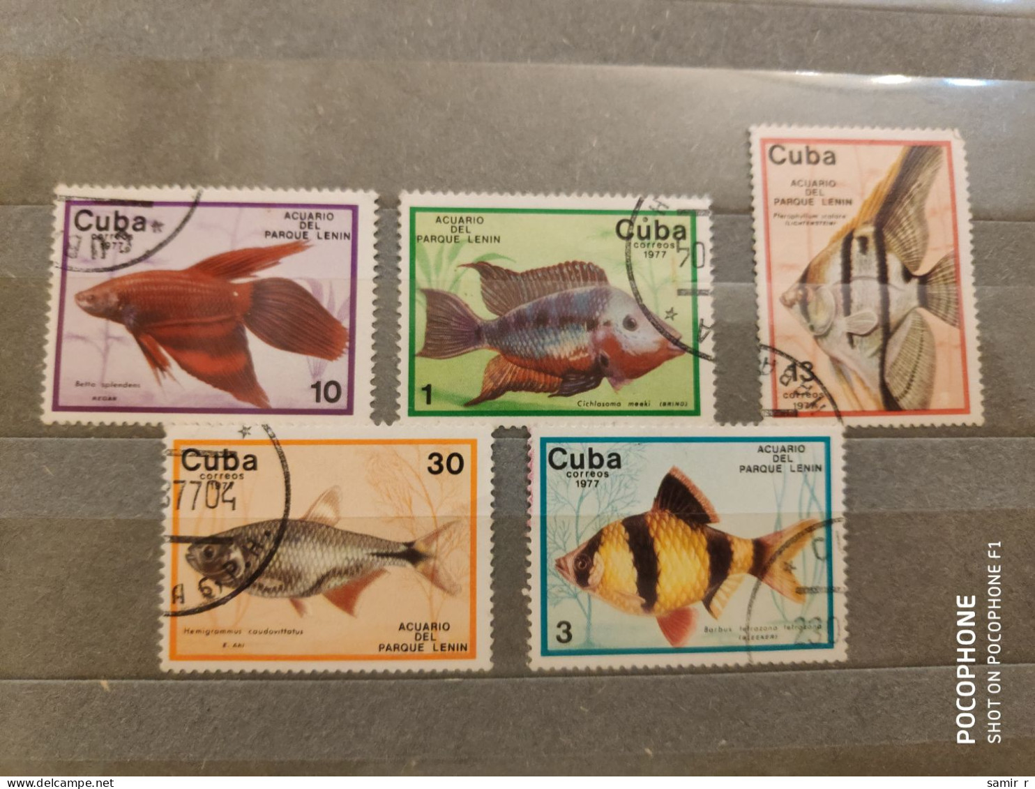 1977 Cuba Fishes (F17) - Gebraucht