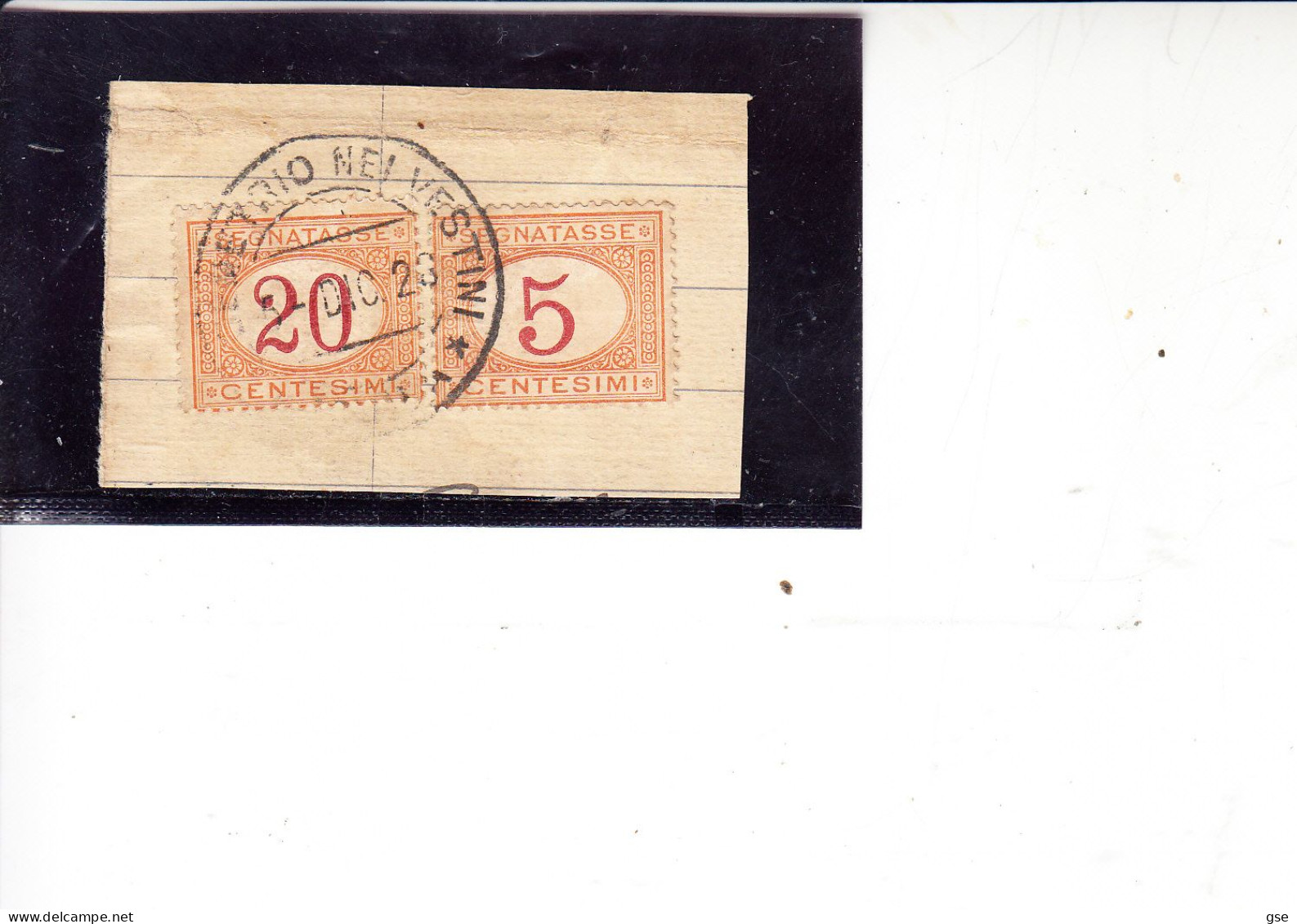 ITALIA  1870-94 - Sassone 5 + 20 Su Ritaglio - Postage Due