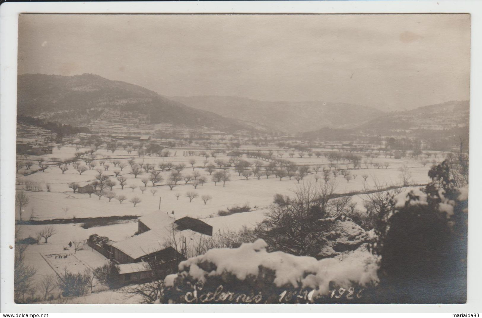 SALERNES - VAR - CARTE PHOTO - SOUS LA NEIGE - 15 JANVIER 1925 - Salernes