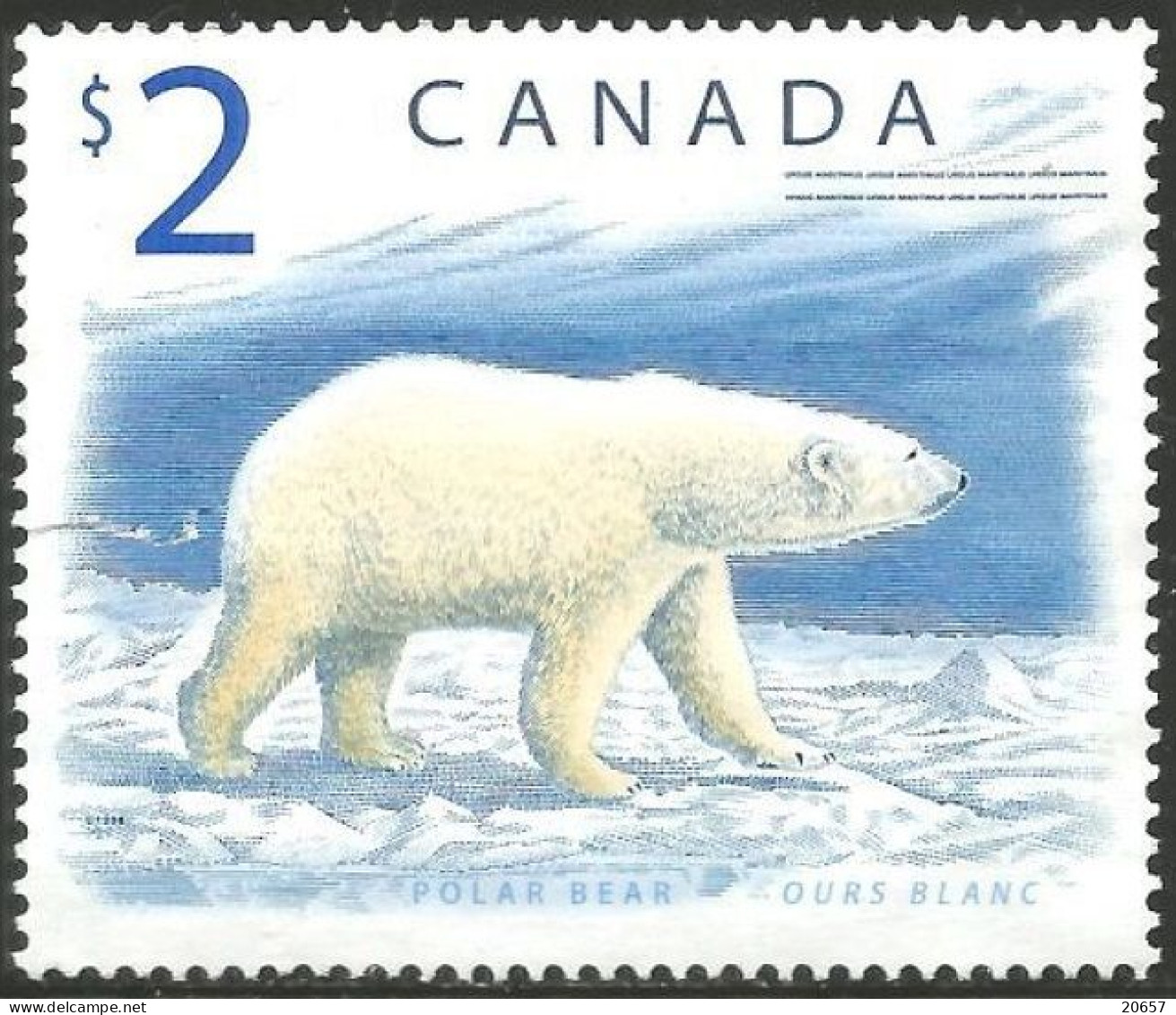 CANADA 1617 Ours Polaire Blanc, Polar Bear - Faune Arctique