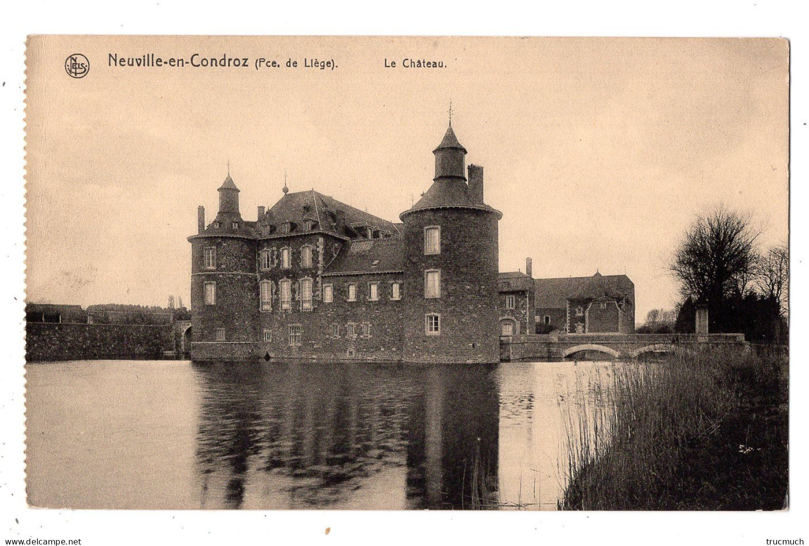 NEUVILLE-EN-CONDROZ  - Le Château - Neupre