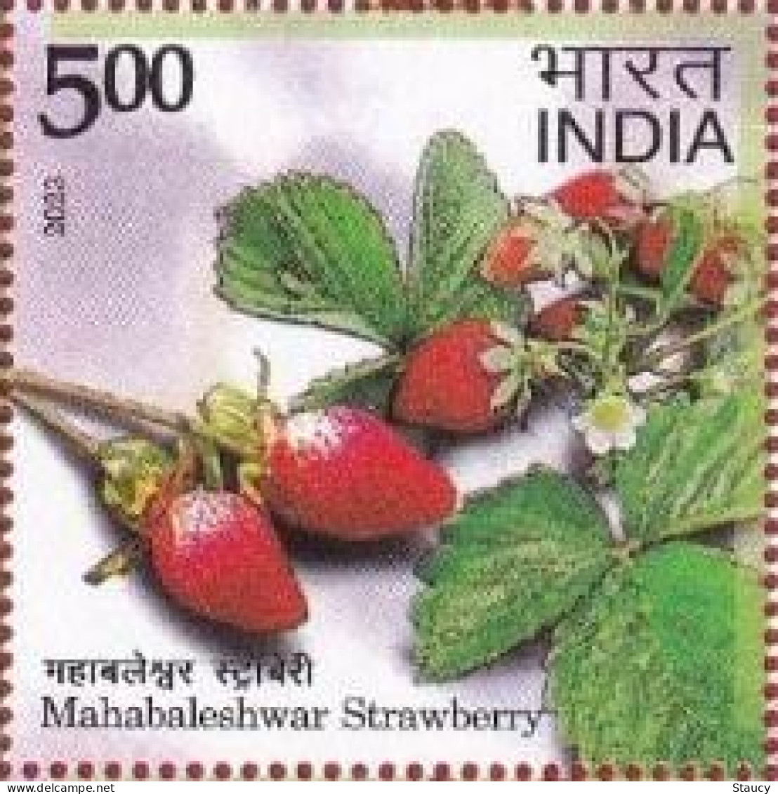 India 2023 Agricultural Goods Of India -- Geographical Fruit - Mahabaleshwar Strawberry 1v Rs.5.00 Stamp MNH As Per Scan - Agriculture