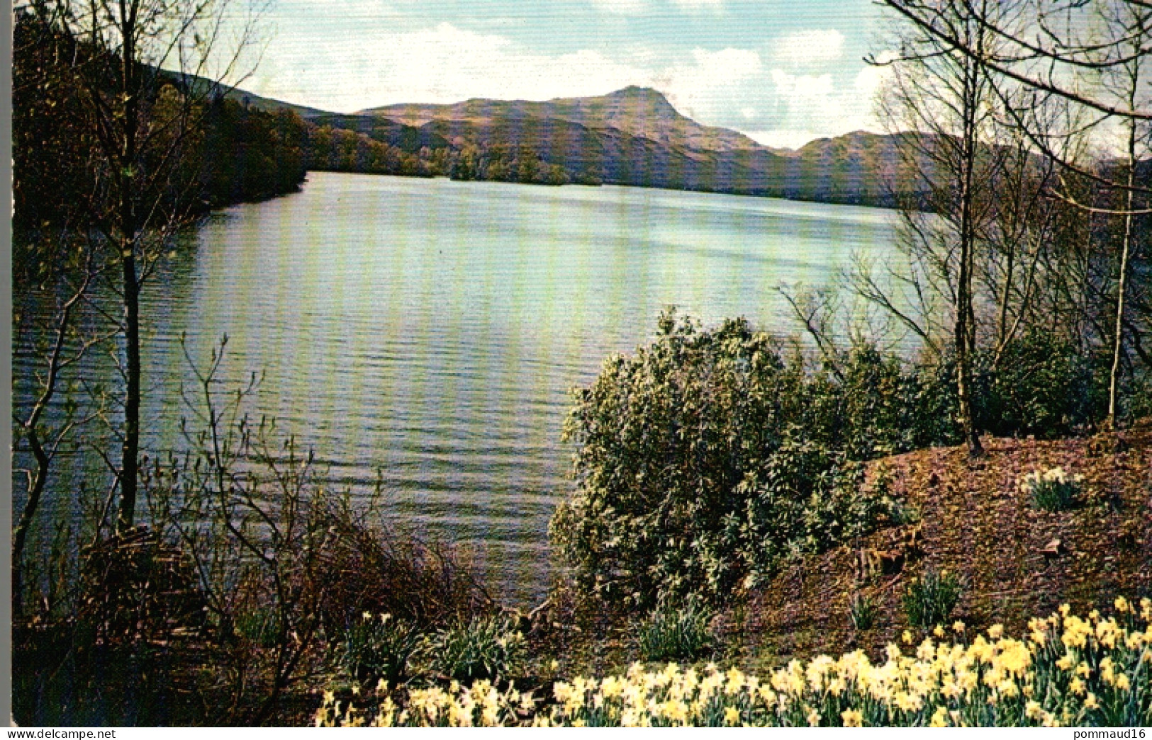 CPSM Loch Ard And Ben Lomond - Perthshire