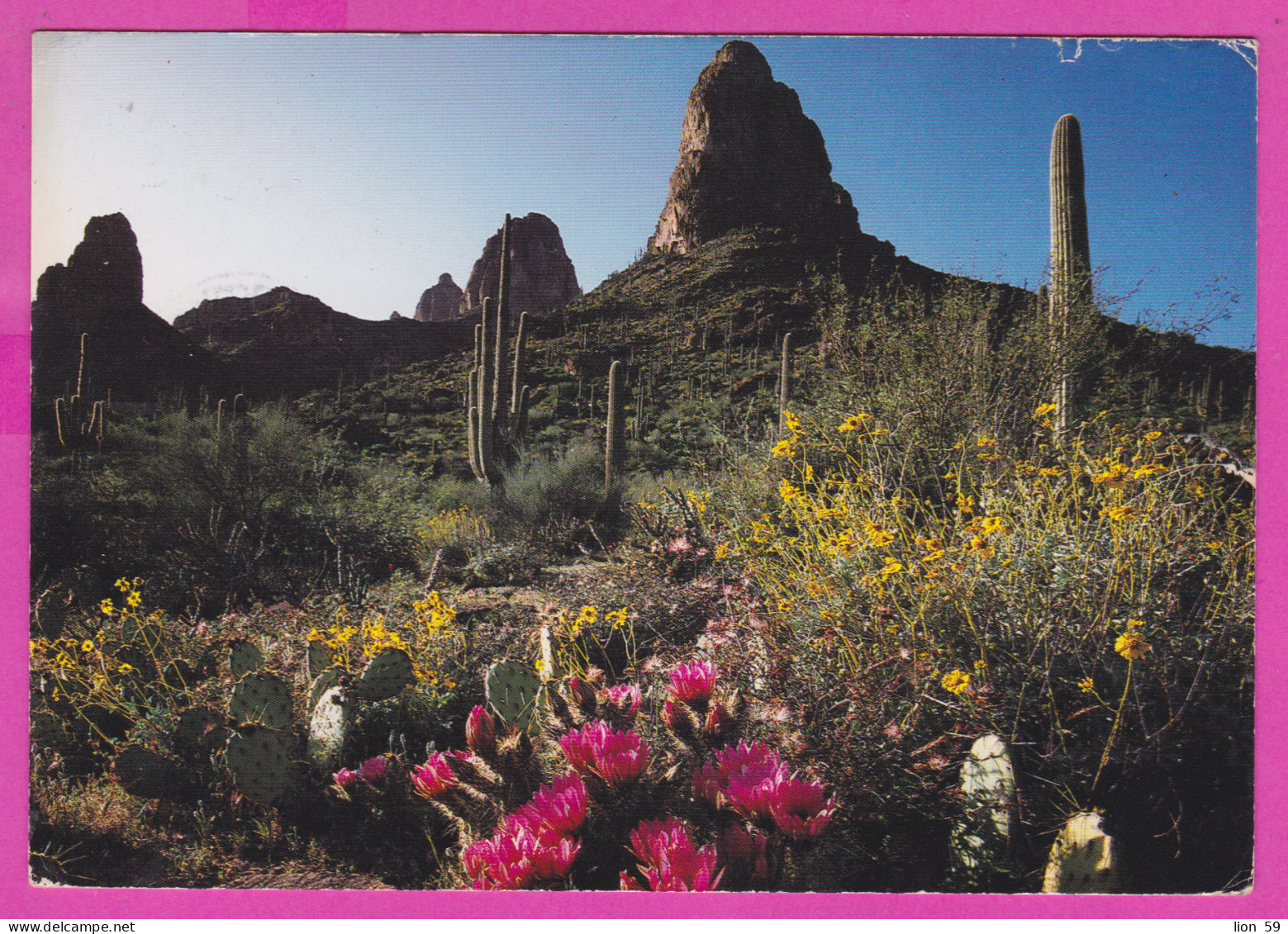 292565 / United States Desert In Bloom Organ Pipe Cacti PC USED (O) Bulgaria 1991- 40¢ William T. Piper Aviation Pioneer - Sukkulenten