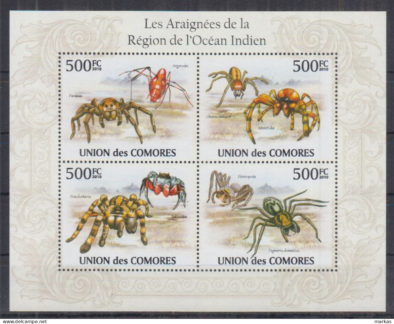 L13. Comoro Islands MNH 2010 Fauna - Animals - Spiders - Spinnen