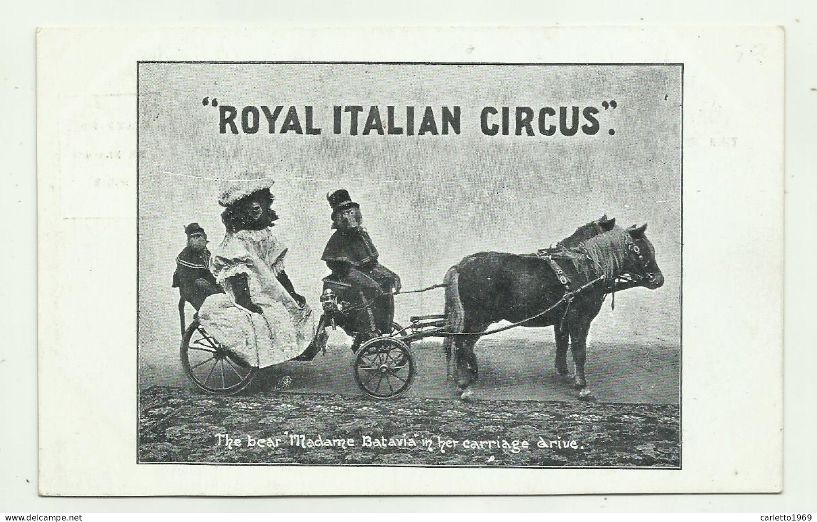 ROYAL ITALIAN CIRCUS - THE BEAR MADAME BATAVIA IN HER CARRIAGE DRIVE - NV FP - Zirkus