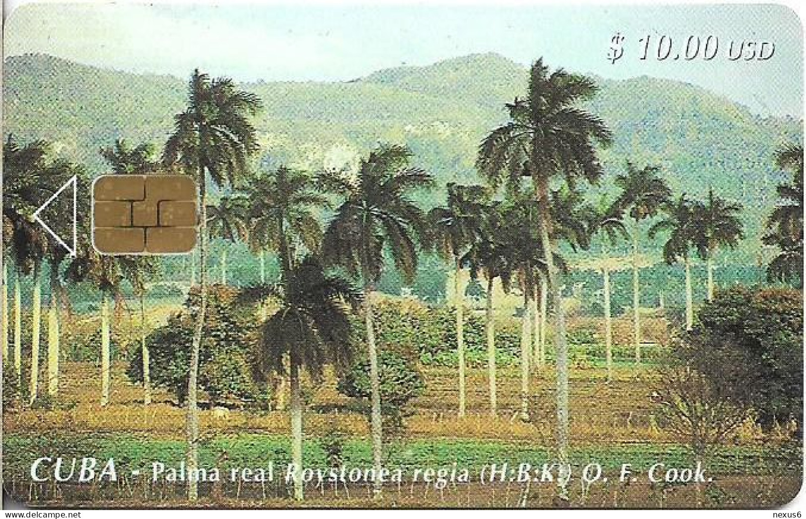 Cuba - Etecsa (Chip) - Palma Real Roystonea Regia, 02.2000, 10$, 22.000ex, Used - Cuba