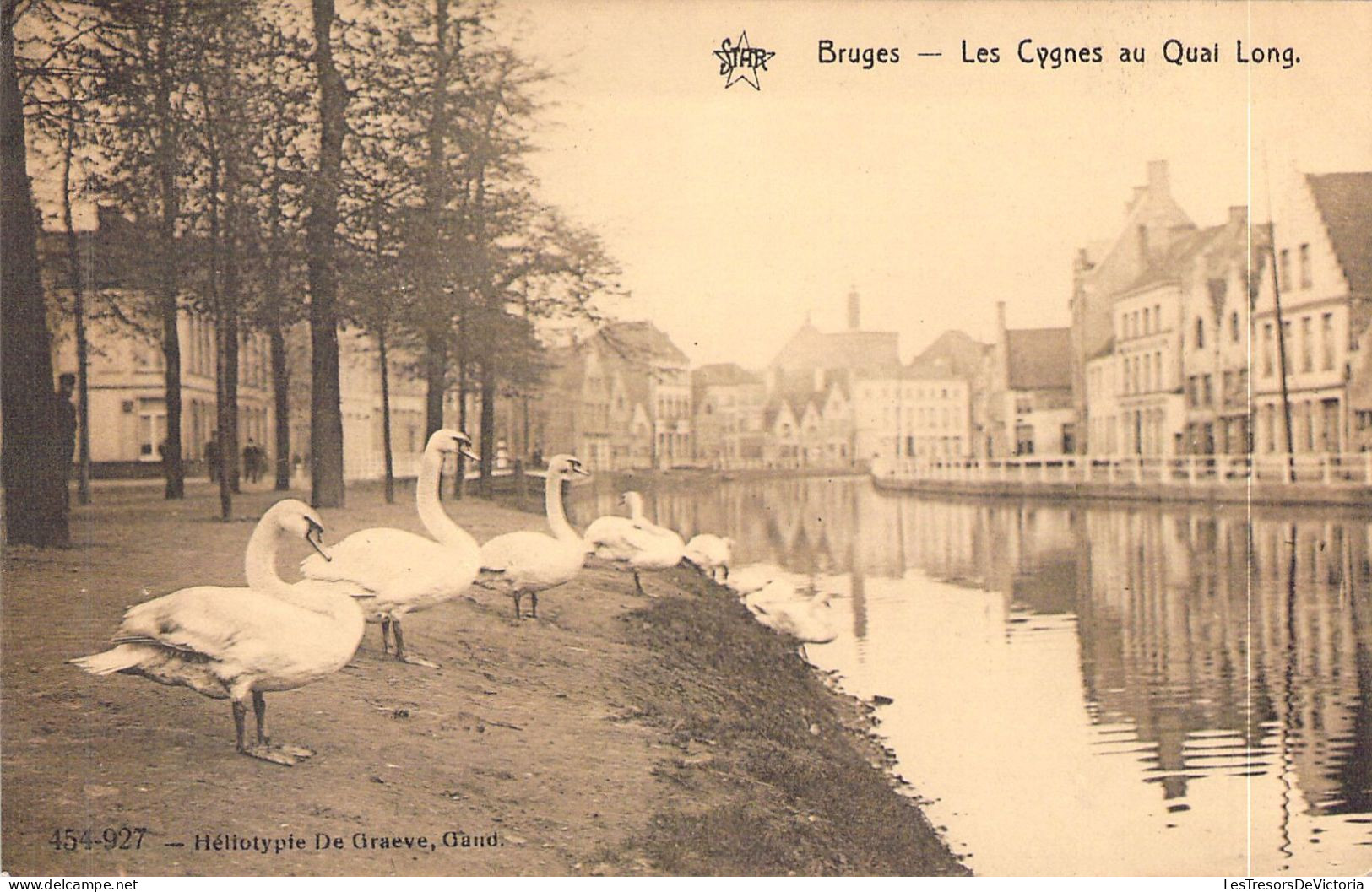 BELGIQUE - BRUGES - Les Cygnes Au Quai Long - Carte Postale Ancienne - Brugge