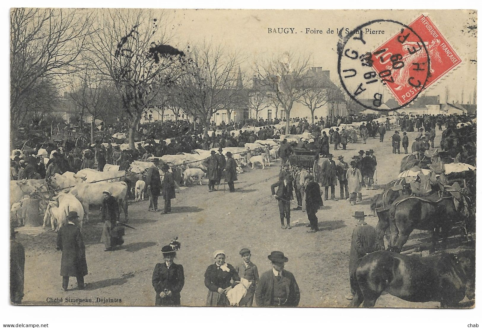 BAUGY. - Foire De La Saint Pierre Voyagée 1909 - FOIRE - BOEUF - VACHES - Baugy