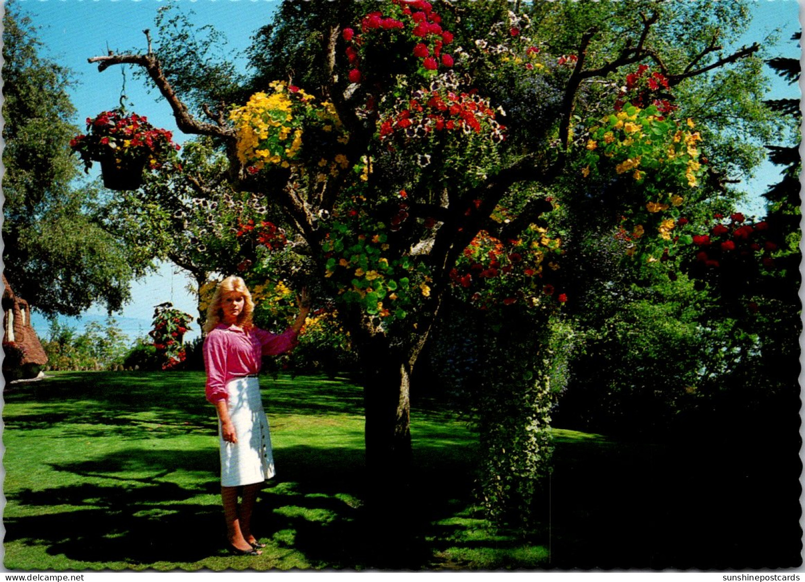 Canada Victoria Marine Drive Fable Cottage Estate "Basket Tree" - Victoria