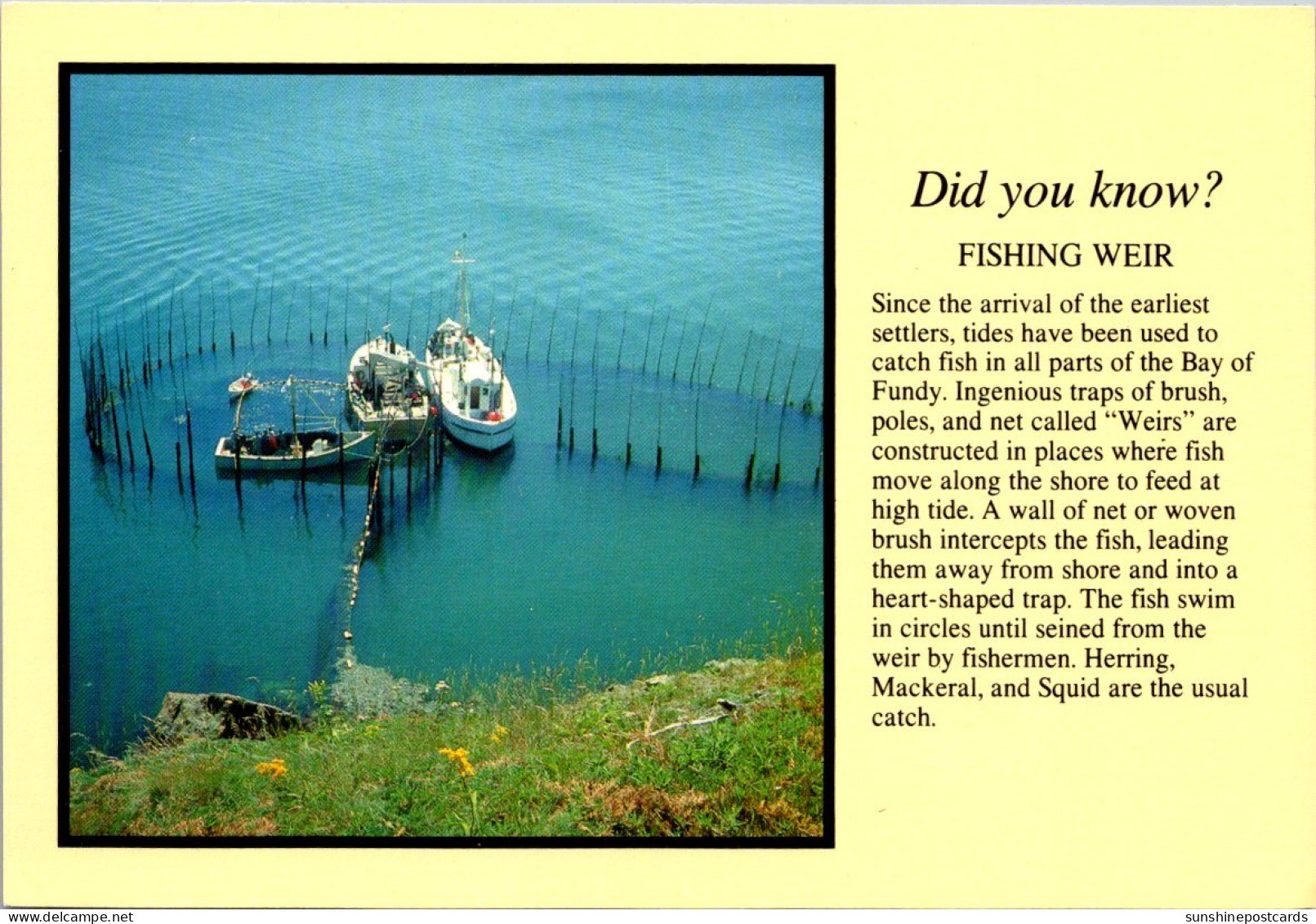 Canada Bay Of Fundy Fishing Weir - Sonstige & Ohne Zuordnung