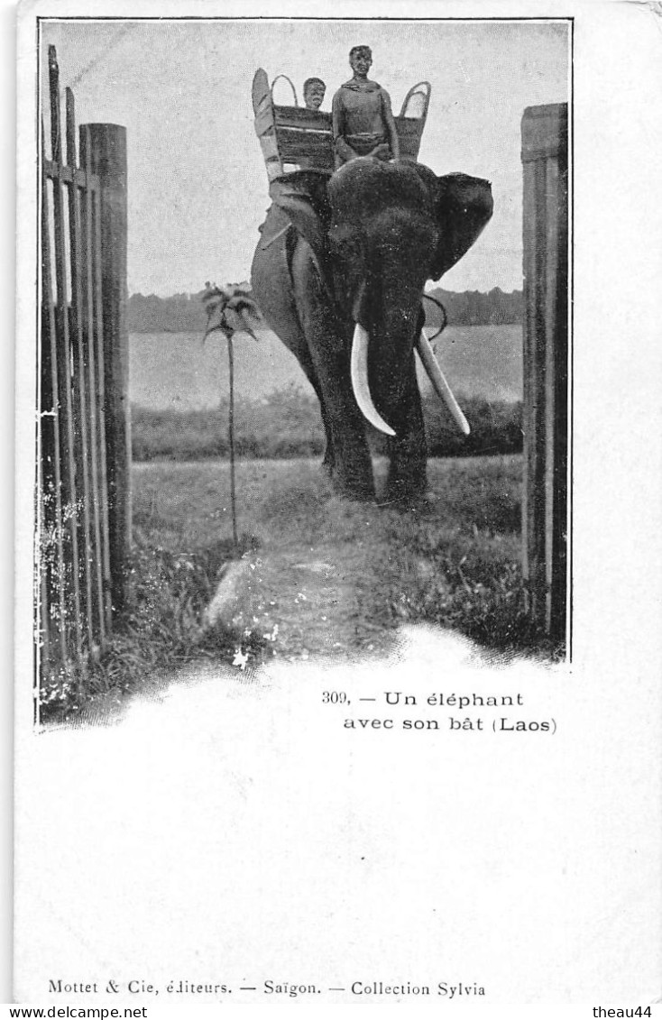 ¤¤    -     LAOS   -   Un Eléphant Avec Son Bat        -    ¤¤ - Laos