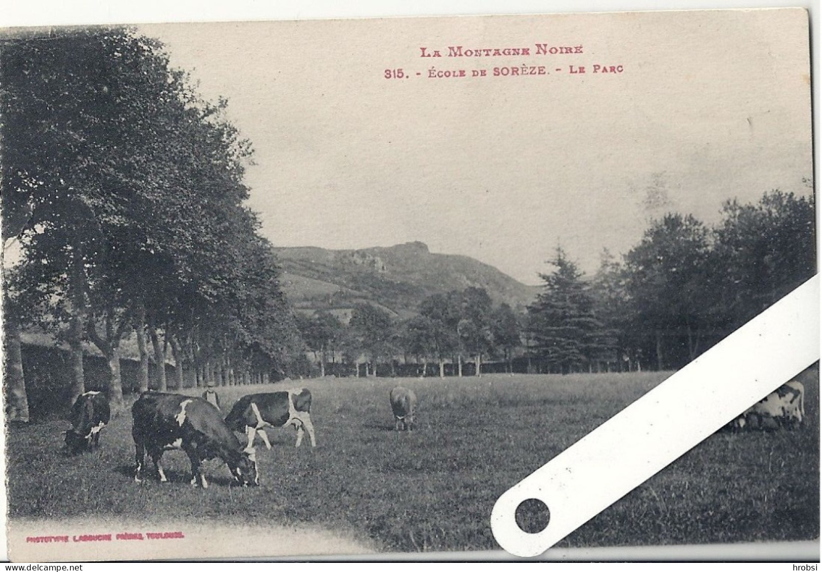 Tarn,  Sorèze, Ecole, Le Parc - Saint Paul Cap De Joux