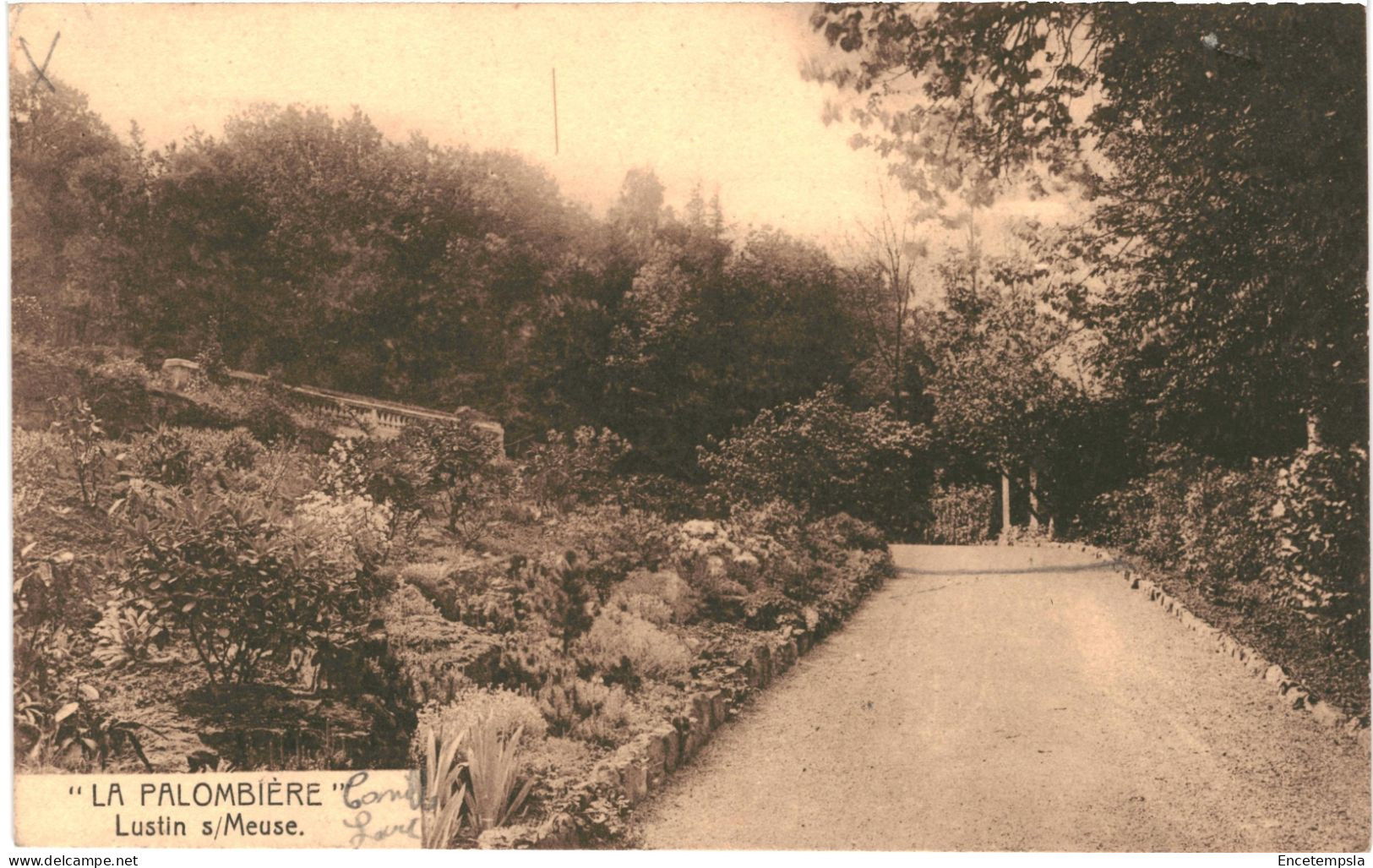 CPA  Carte Postale Belgique Lustin  Sur Meuse La Palombière 1952  VM69469ok - Profondeville