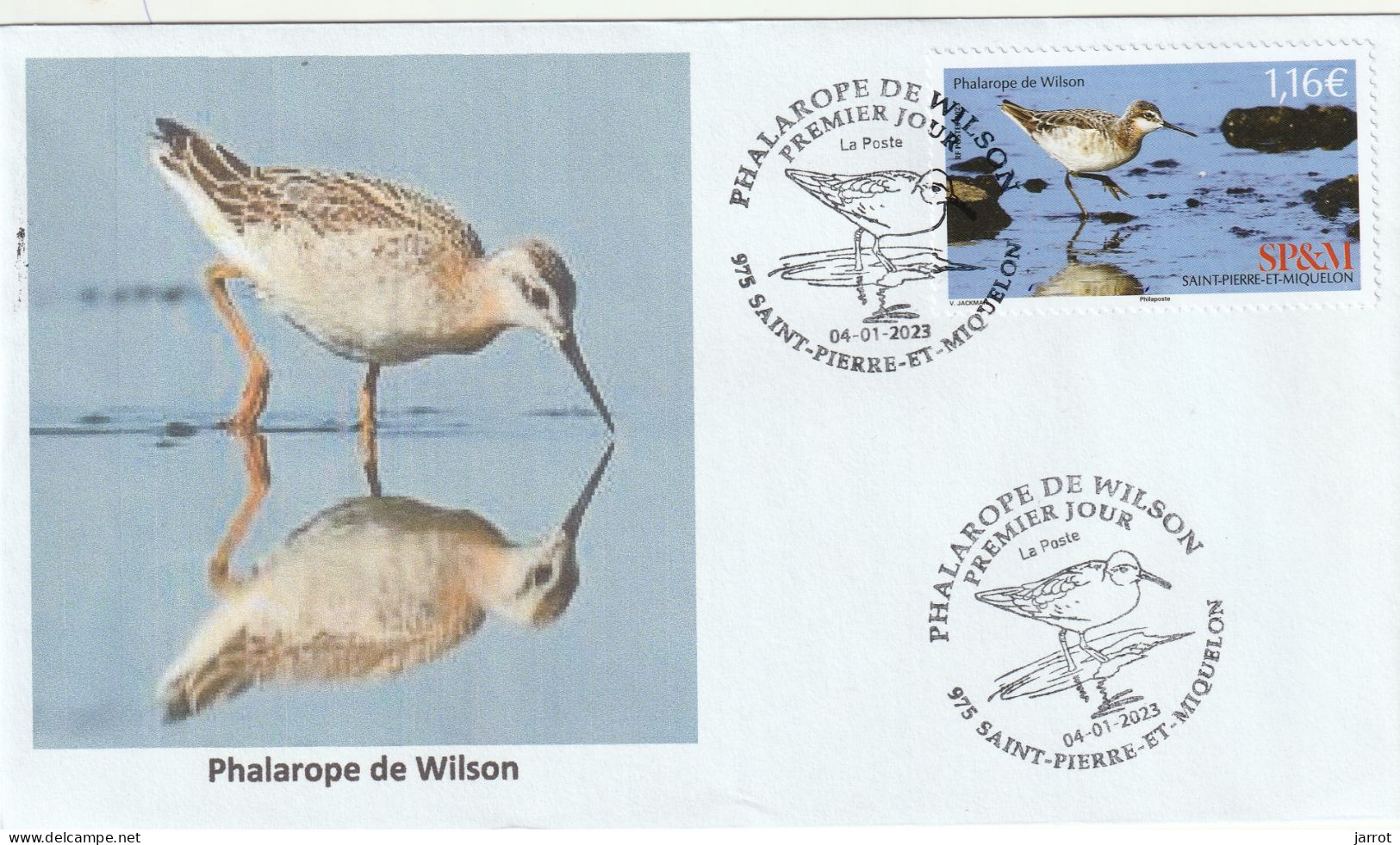 2023 Phalarope De Wilson 4 Janvier 2023 - FDC