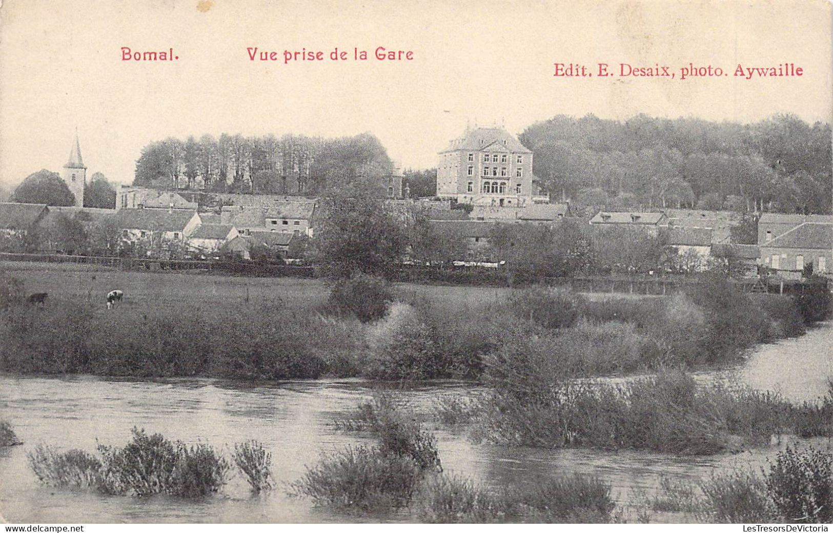 BELGIQUE - BOMAL - Vue Prise De La Gare - Edit E Desaix - Carte Postale Ancienne - Otros & Sin Clasificación