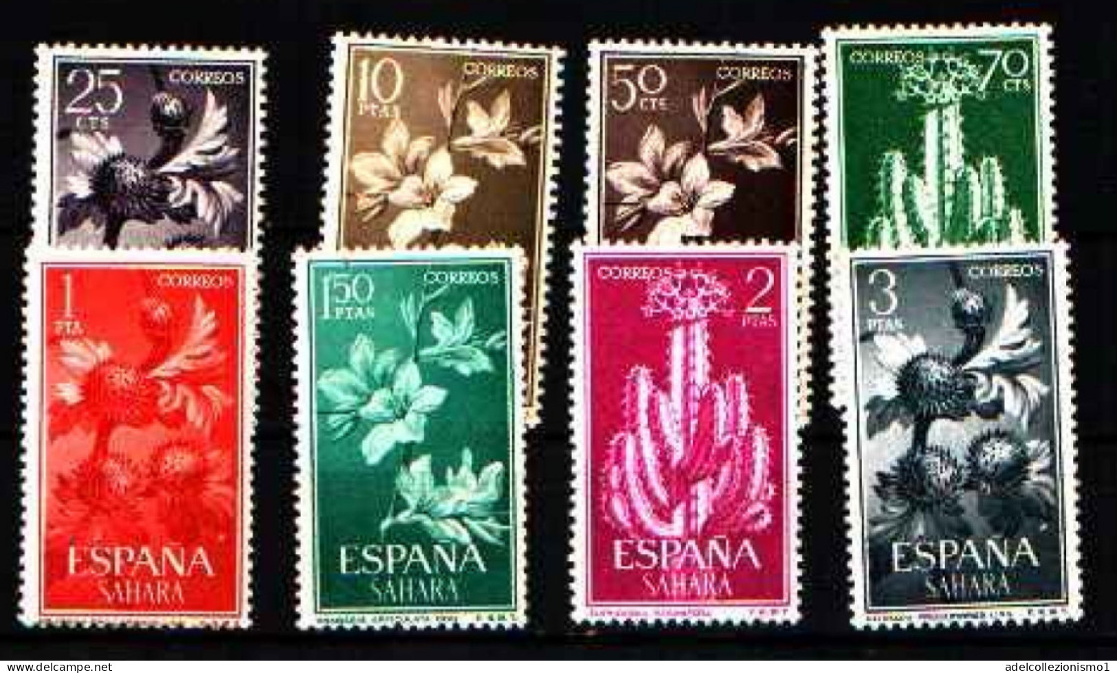49069) 1962 Spagna Spain Espana SAHARA Fiori E Piante- CACTUS- MNH**-SERIE COMPLETA - Sahara Español