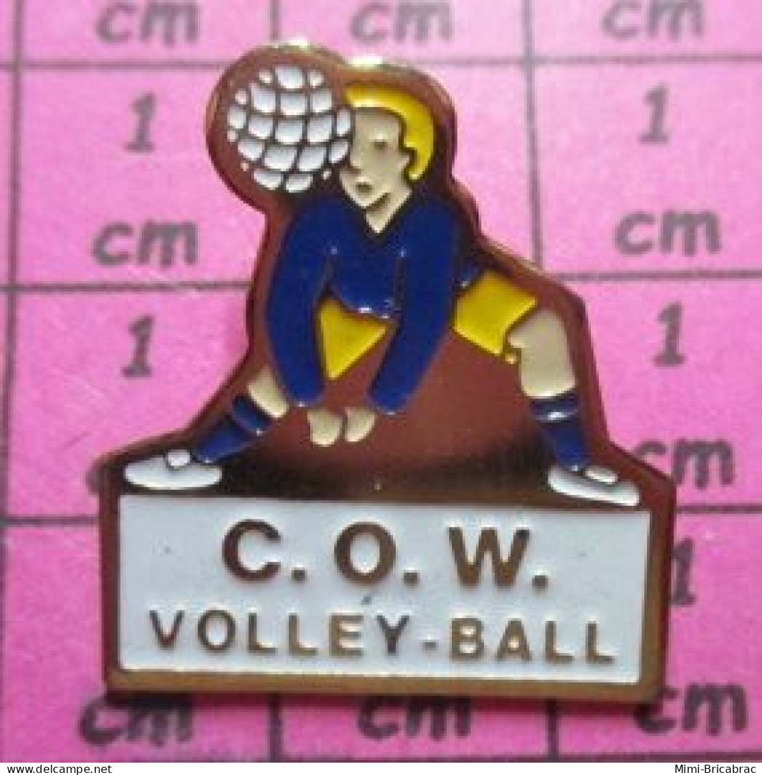 2119 Pin's Pins / Beau & Rare /  SPORTS / CLUB DE VOLLEY-BALL C.O.W. - Voleibol