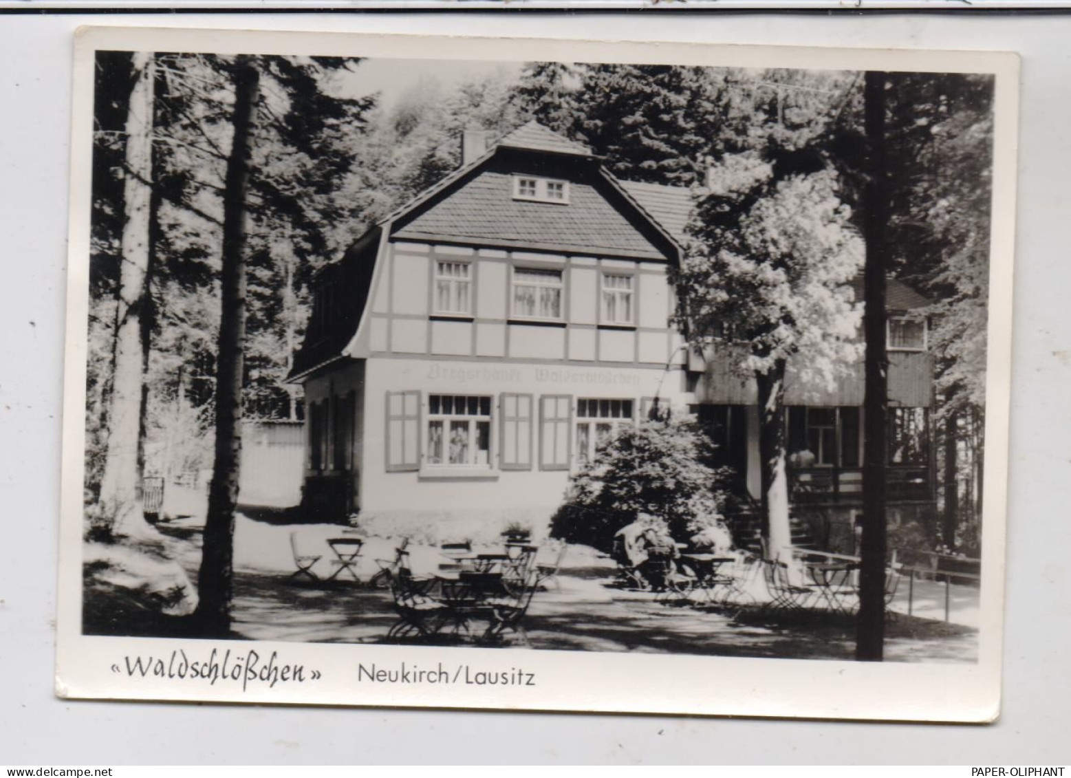 0-8505 NEUKIRCH / Lausitz, "Waldschlößchen" - Neukirch (Lausitz)