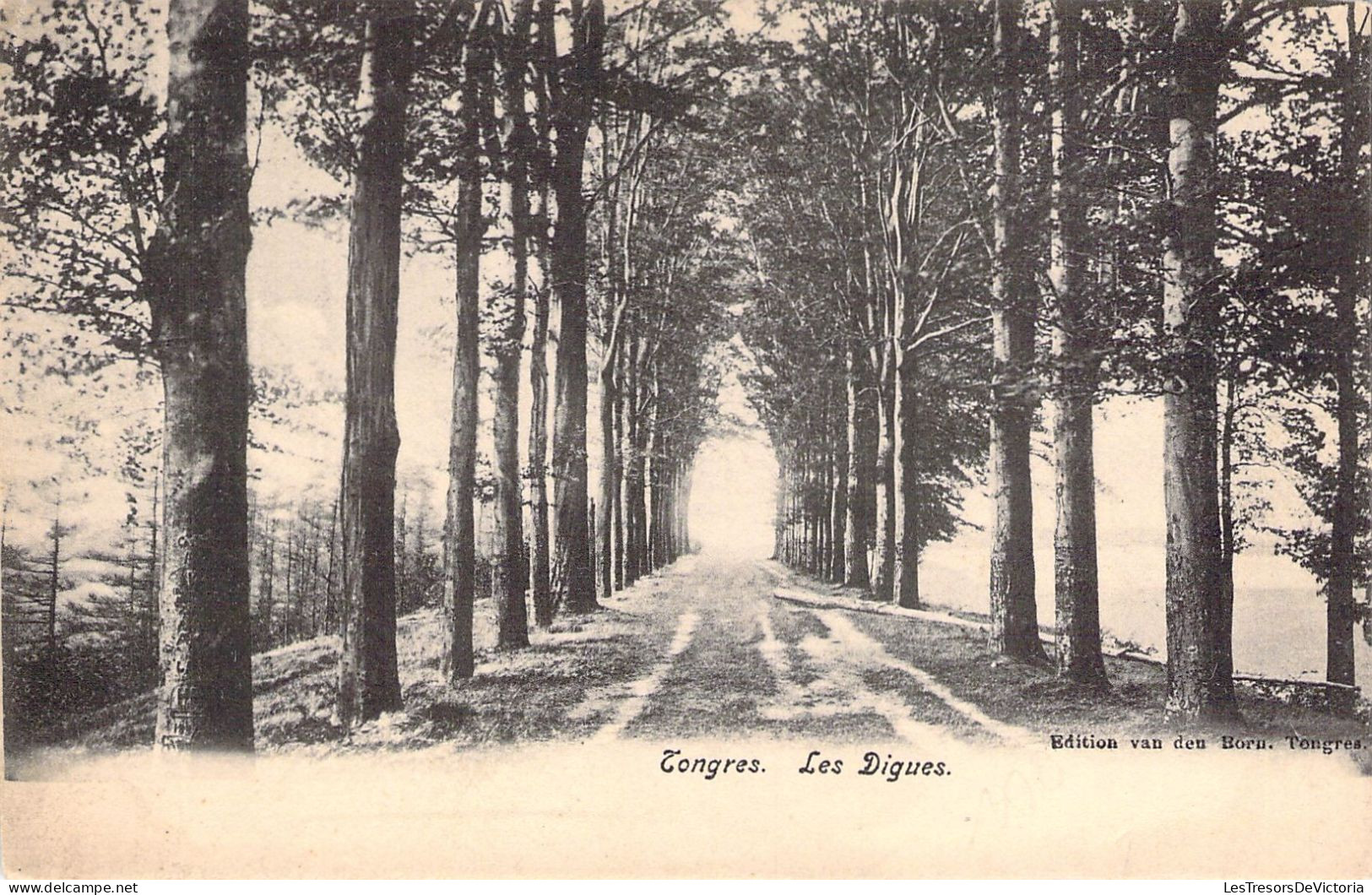 BELGIQUE - TONGRES - Les Digues -  Carte Postale Ancienne - Tongeren