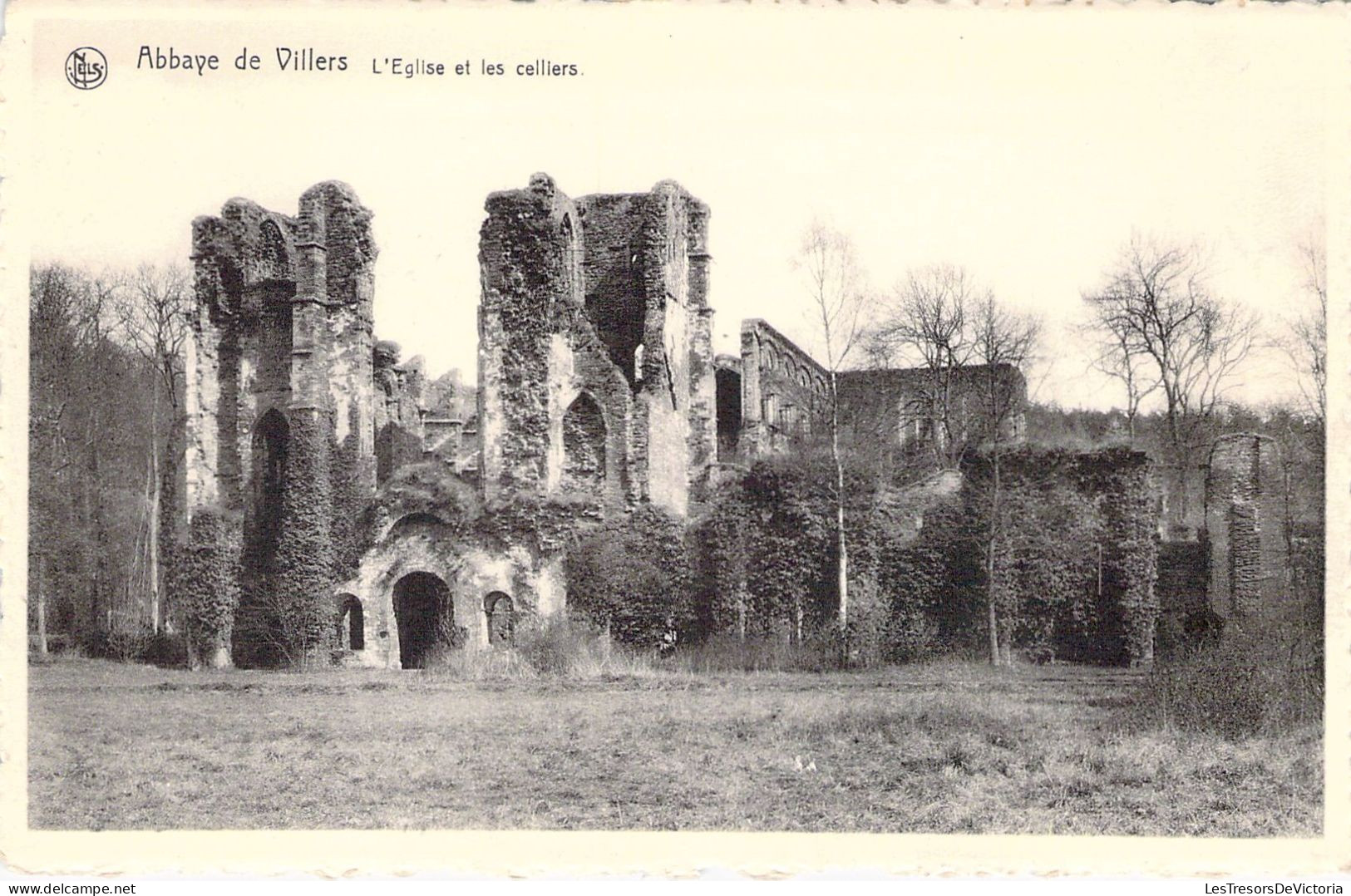 BELGIQUE - Abbaye De Villers - L'Eglise Et Les Celliers -  Carte Postale Ancienne - Other & Unclassified