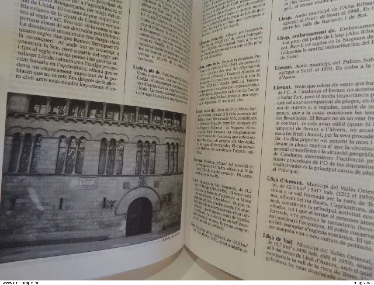 Diccionari Barcanova De Geografia De Catalunya. Direcció De L'obra Maite Arqué I Bertran. Barcanova. 1993. 421 Pp. - Diccionarios