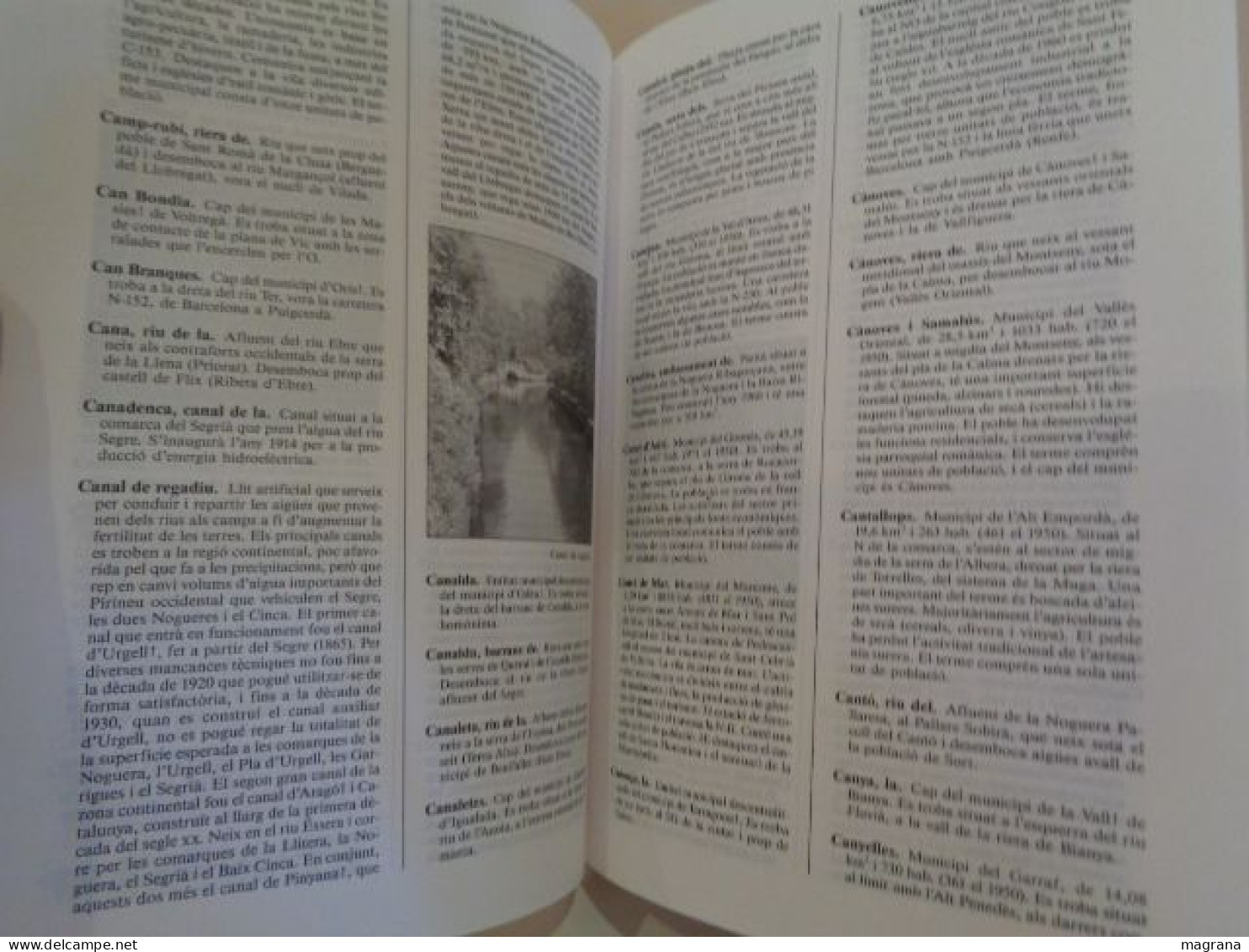 Diccionari Barcanova De Geografia De Catalunya. Direcció De L'obra Maite Arqué I Bertran. Barcanova. 1993. 421 Pp. - Diccionarios