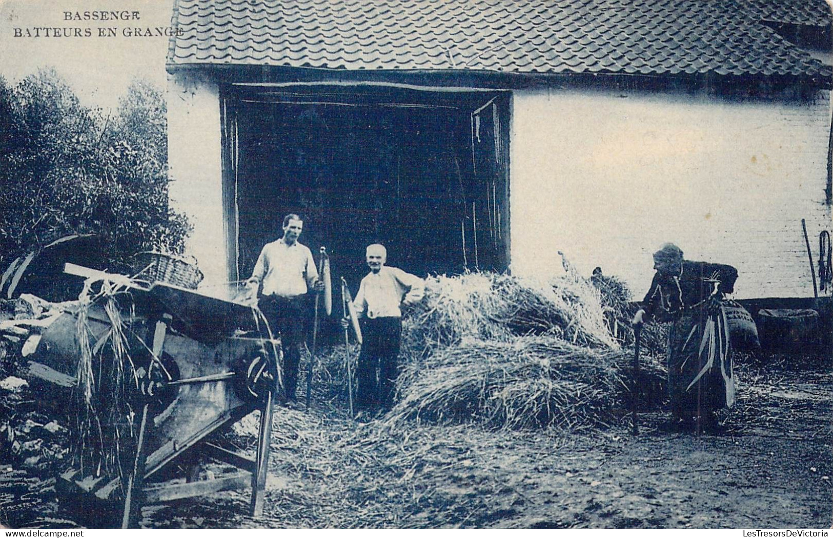 BELGIQUE - BASSENGE - Batteurs En Grange - Carte Postale Ancienne - Bassenge