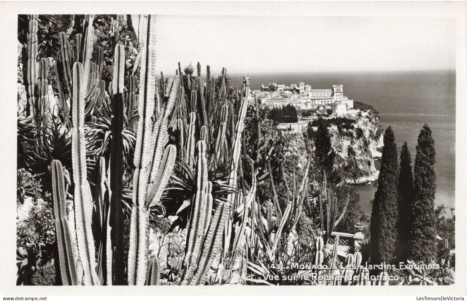 MONACO - Jardin Exotique - Vue Sur Le Rocher De Monaco - Carte Postale Ancienne - Exotischer Garten