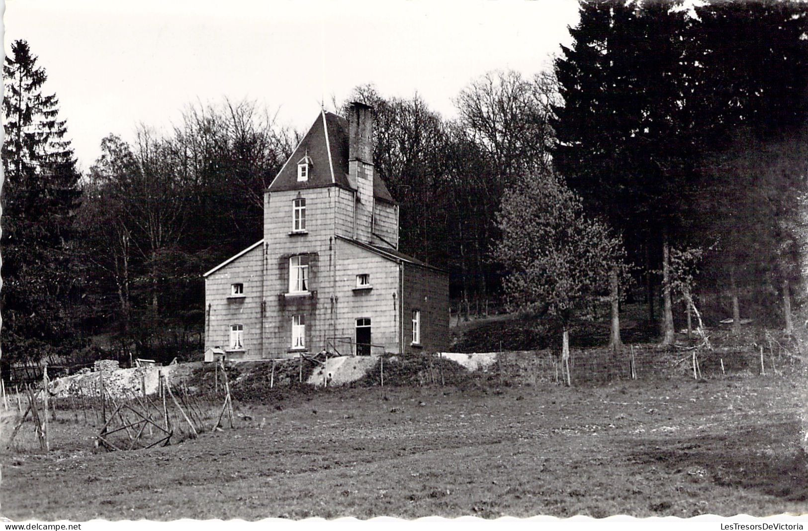 BELGIQUE - NASSOGNE - Château Du Prince Bonapart - Carte Postale Ancienne - Nassogne