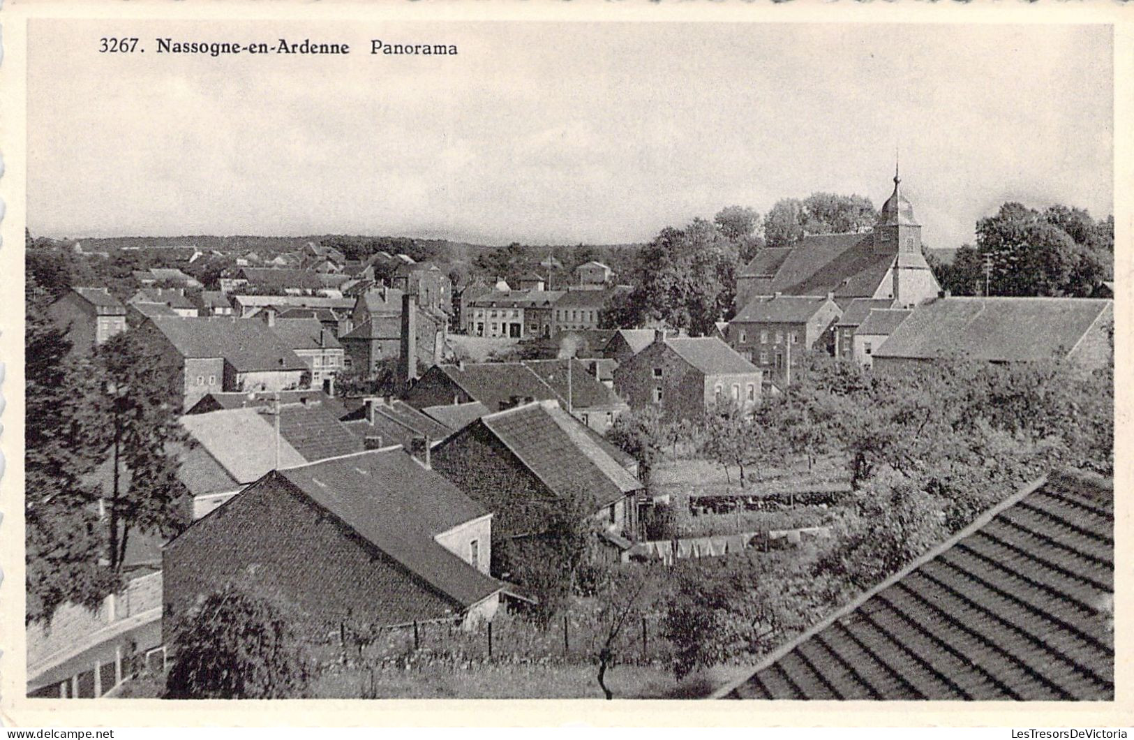 BELGIQUE - NASSOGNE - Panorama - Carte Postale Ancienne - Nassogne