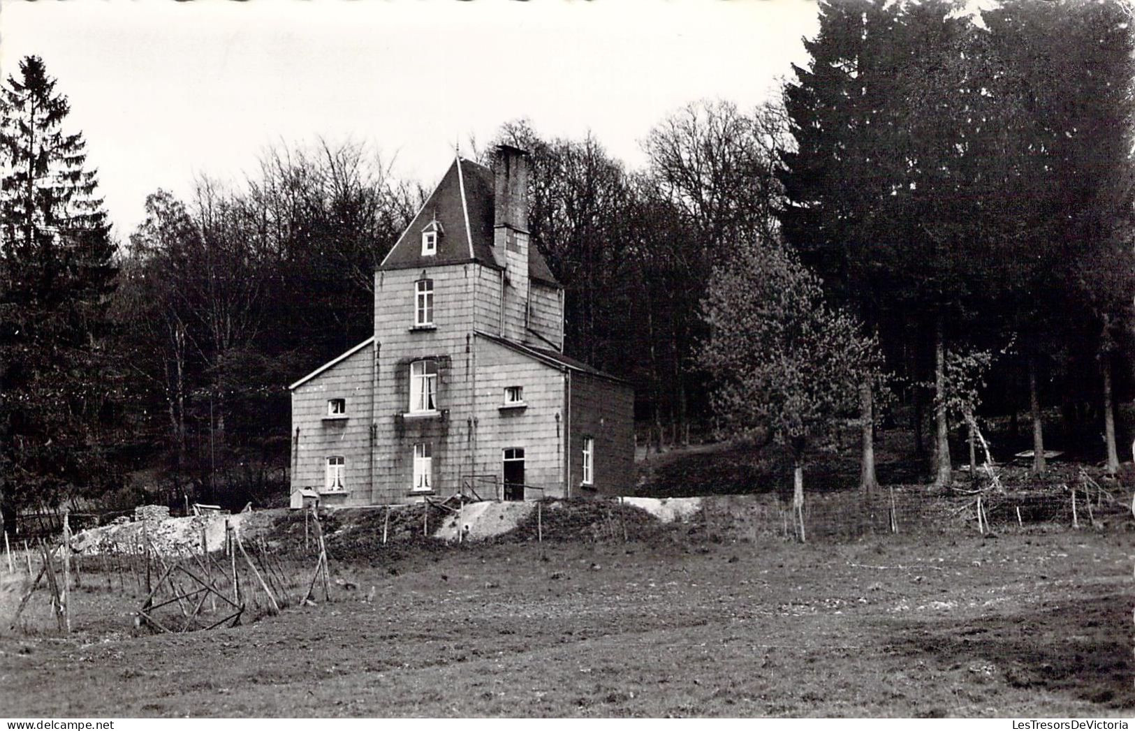 BELGIQUE - NASSOGNE - Château Du Prince Bonapart - Carte Postale Ancienne - Nassogne