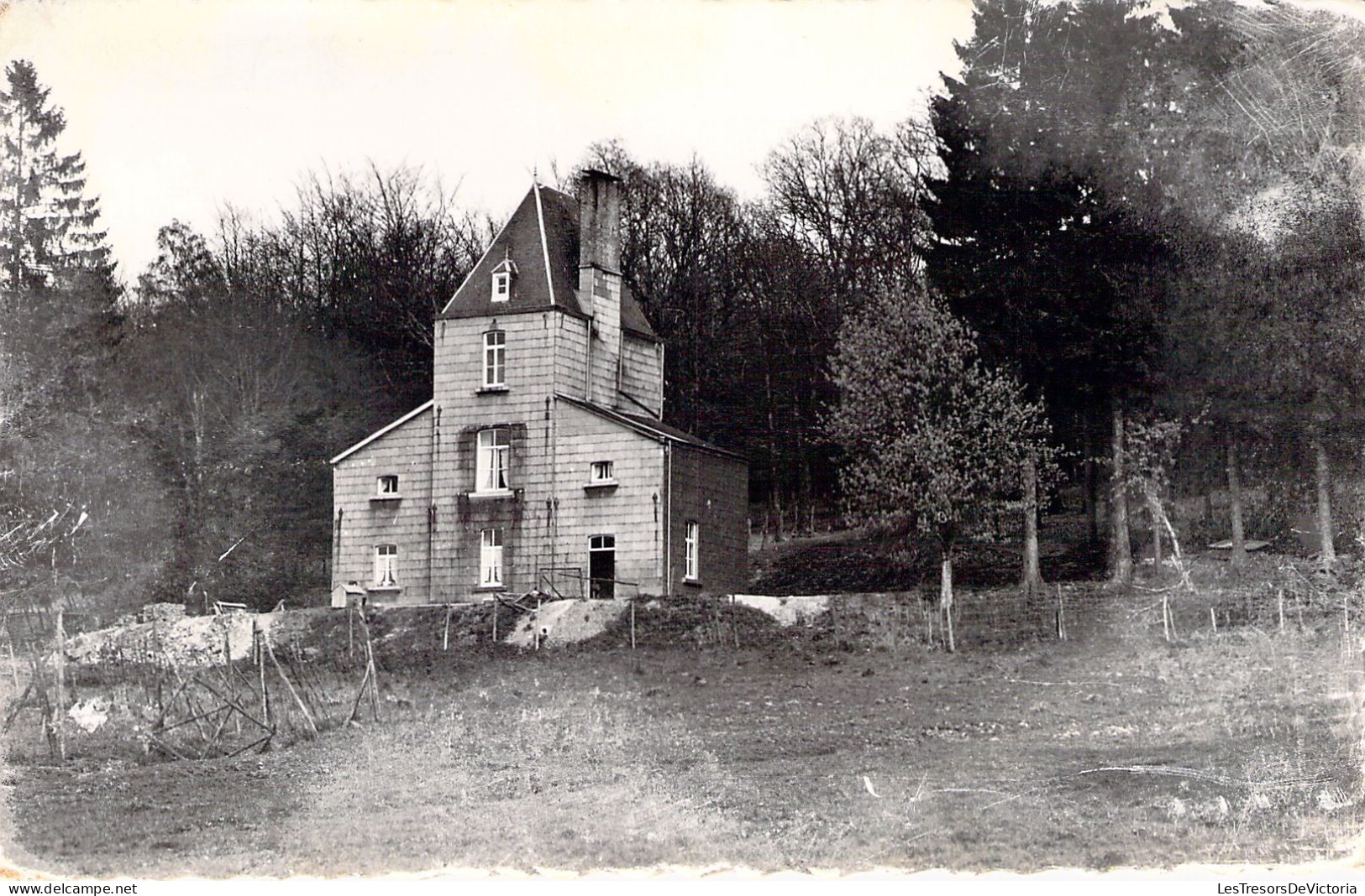 BELGIQUE - NASSOGNE - Château Du Prince Bonapart - Carte Postale Ancienne - Nassogne