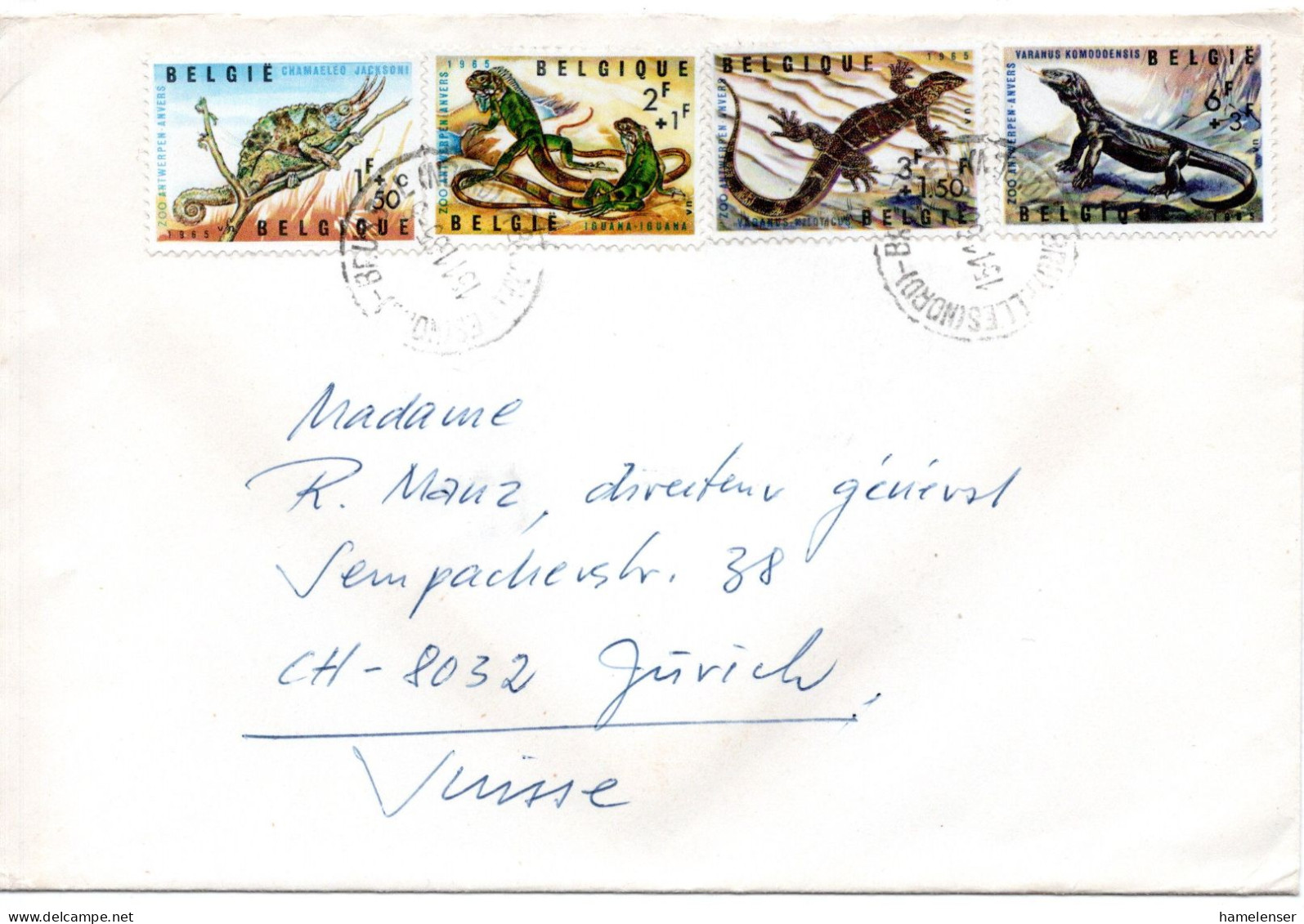 68201 - Belgien - 1965 - 4Wte Zoo Antwerpen MiF A Bf BRUXELLES -> Schweiz - Covers & Documents