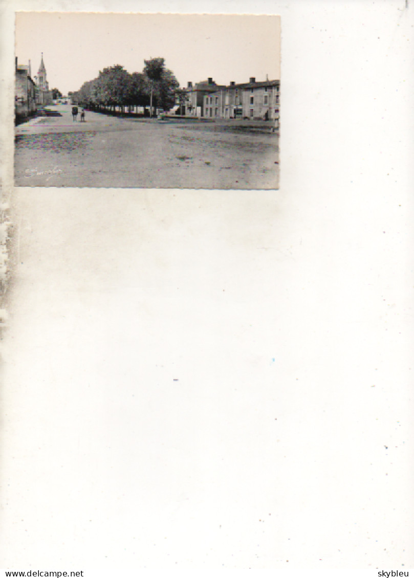 79. CPA - THENEZAY - Promenades, Vers La Mairie Et L'église -  Scan Du Verso - - Thenezay