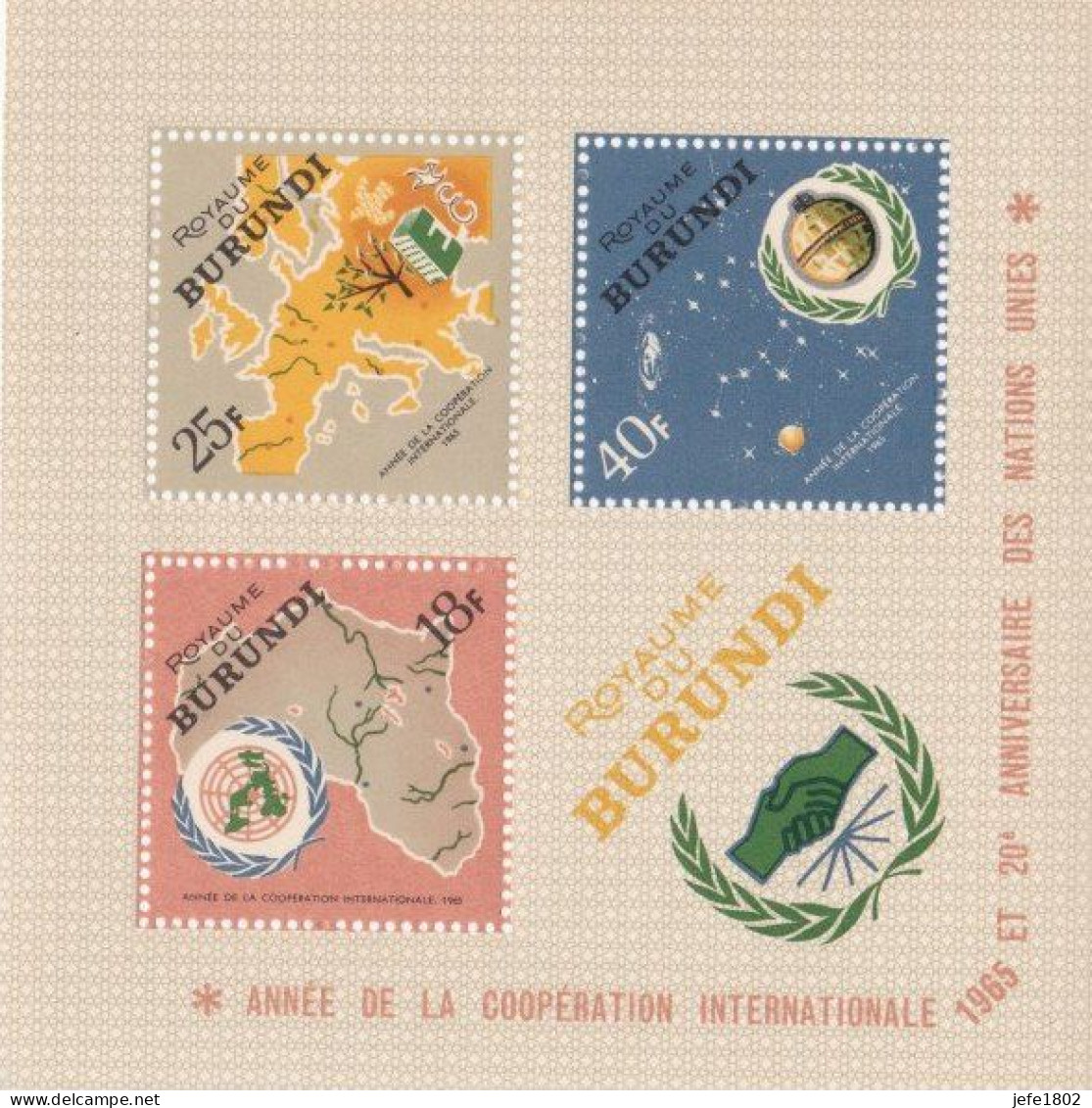 Année De La Coopération Internationale - Jaar Van De Internationale Samenwerking - BL9 - Hojas Y Bloques