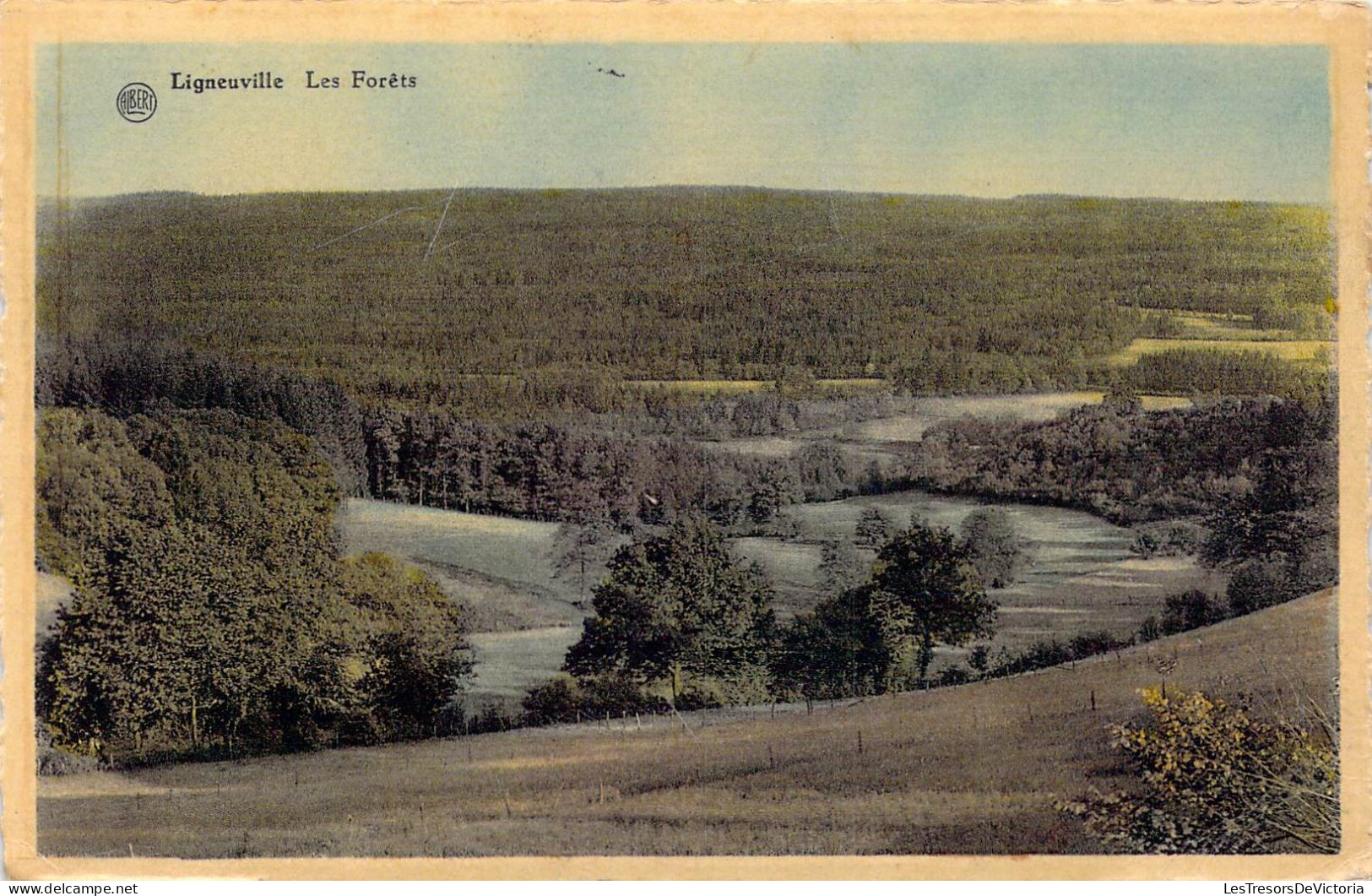 BELGIQUE - Ligneuville - Les Forêts - Carte Postale Ancienne - Malmedy