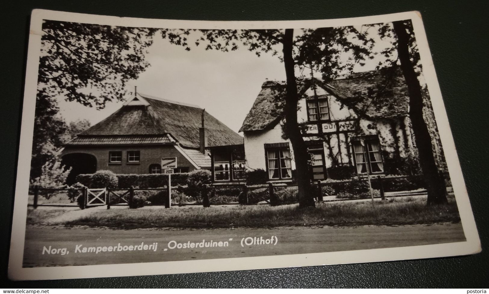 Drenthe - Norg - Kampeerboerderij Oosterduinen - Olthof - Norg