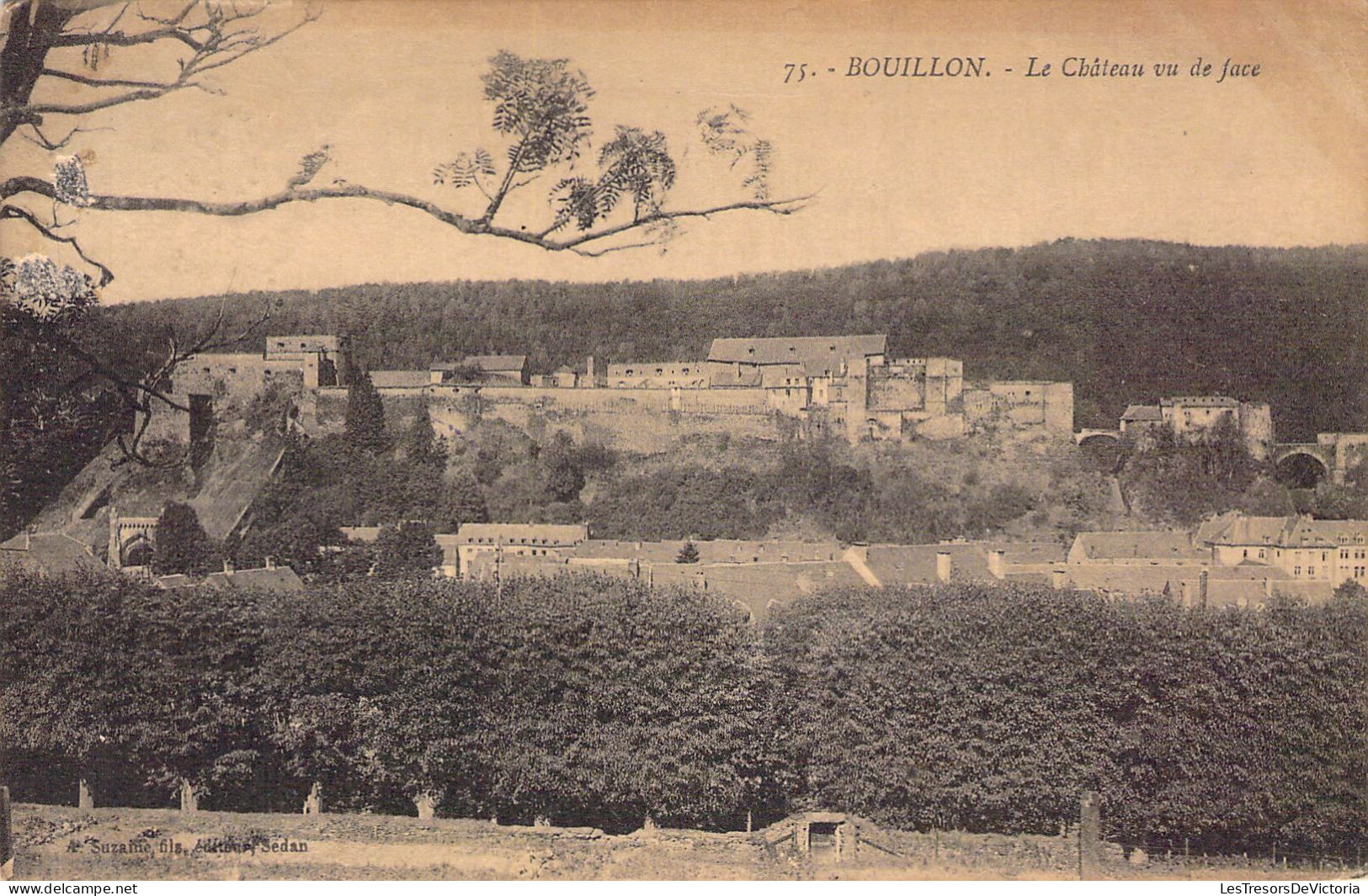 BELGIQUE - BOUILLON - Le Château Vu De Face  - Carte Postale Ancienne - Bouillon